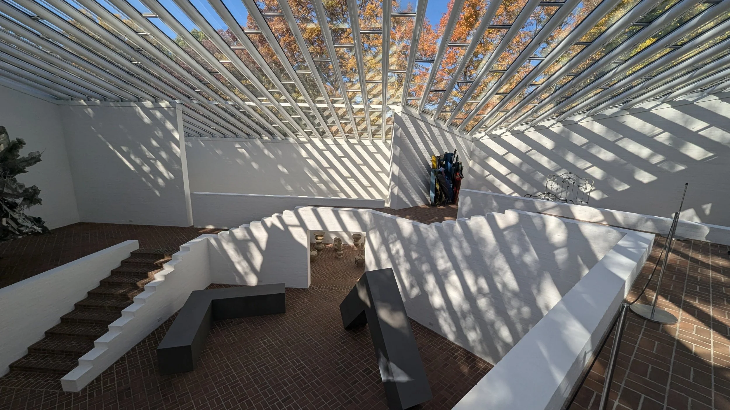 PXL_20241018_160858644.jpg