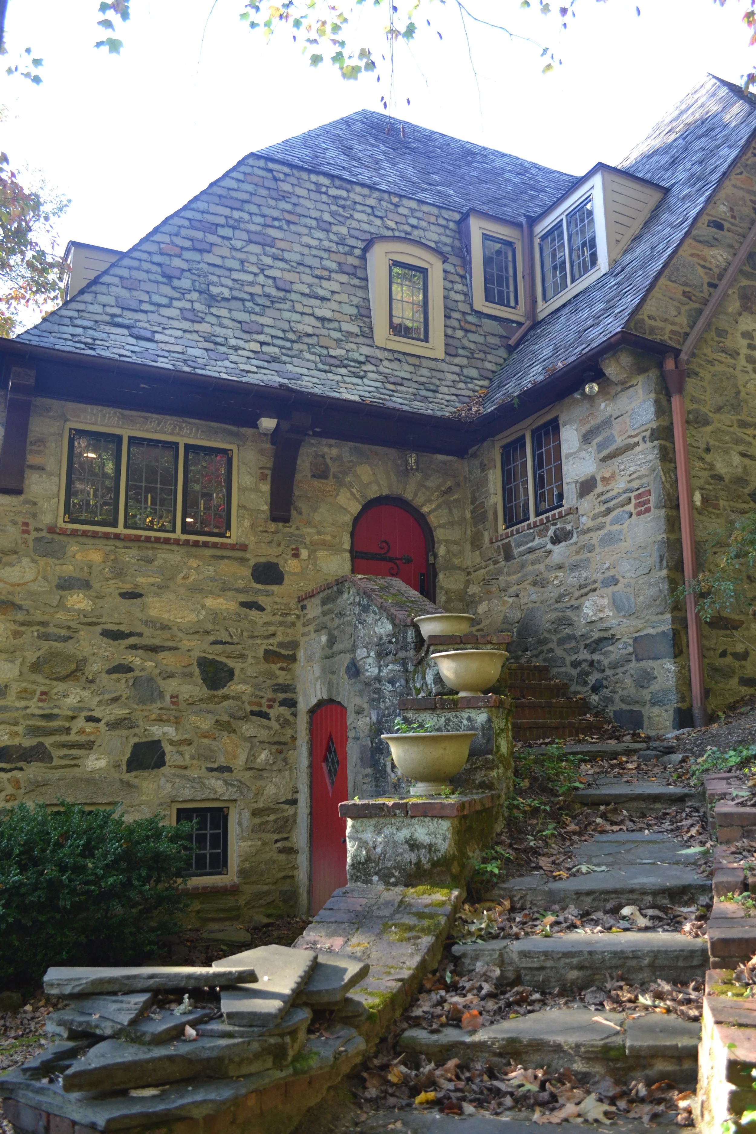DSC_9164.JPG
