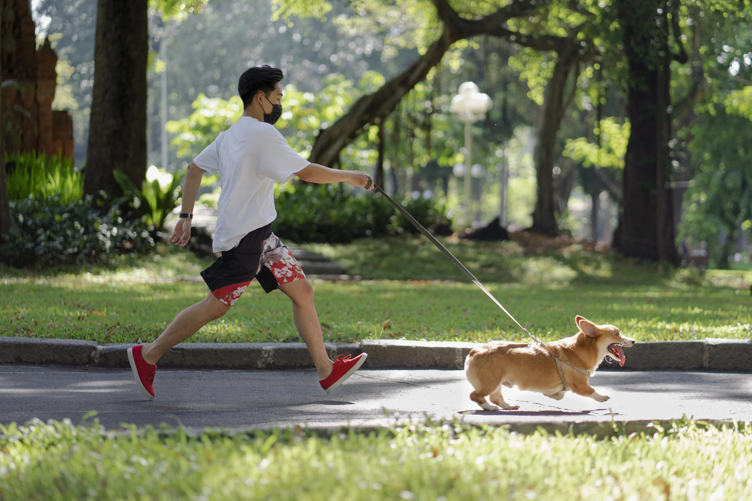 Thong dong dắt chó đi dạo.JPG