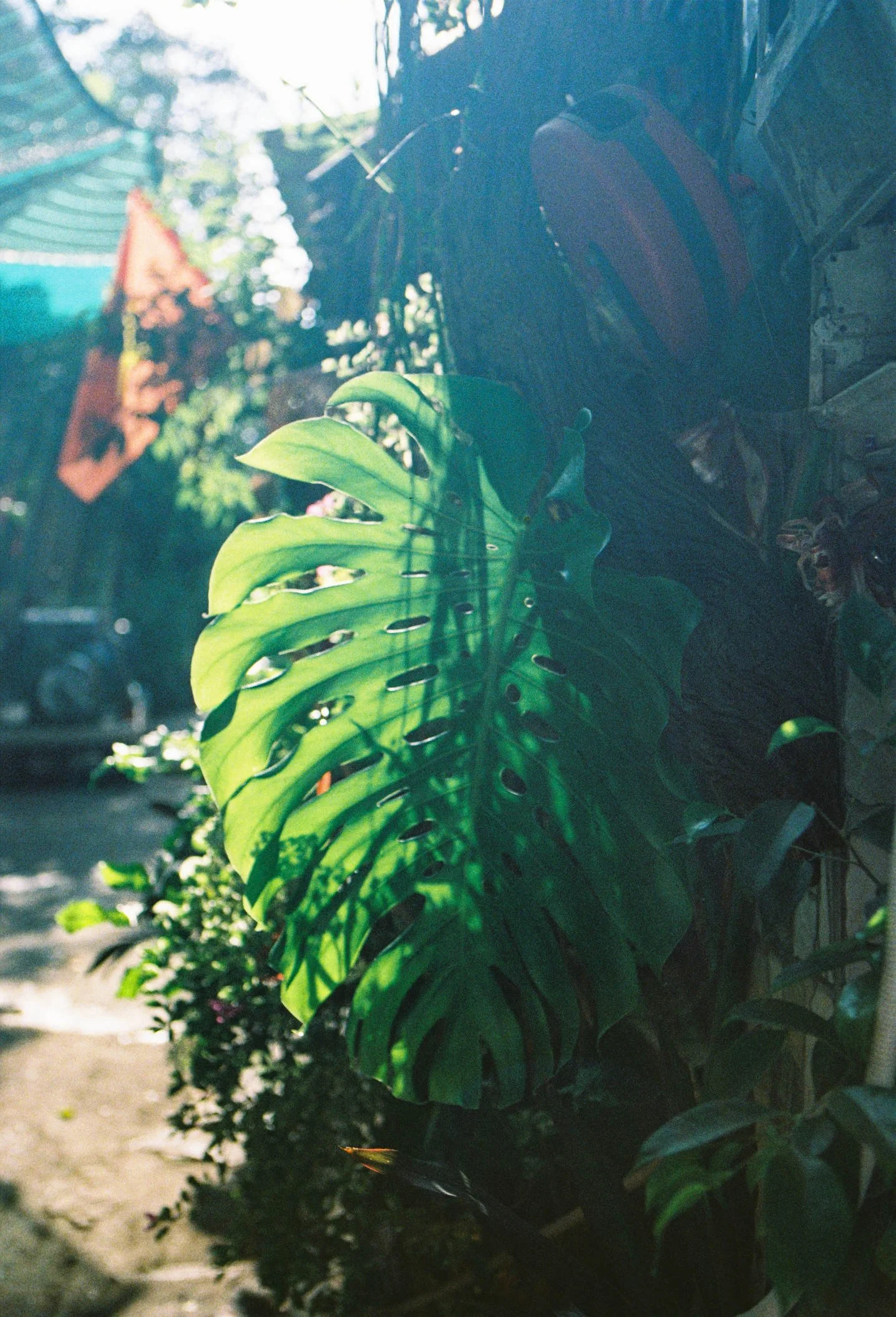 0005_MY+TUAN_CANDIDFILM_SAIGON_29032026.JPG