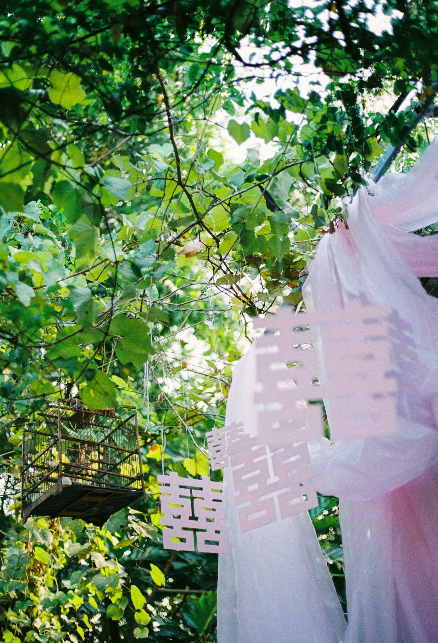 0001_MY+TUAN_CANDIDFILM_SAIGON_29032026.JPG