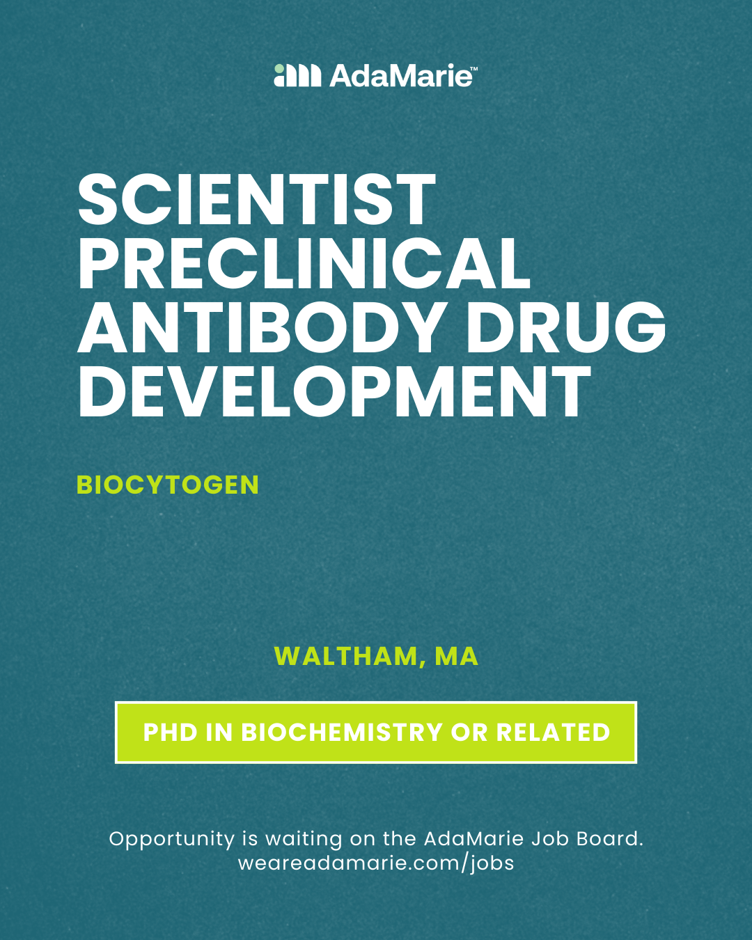 Jobs - 2026-02-02T131522.292.png