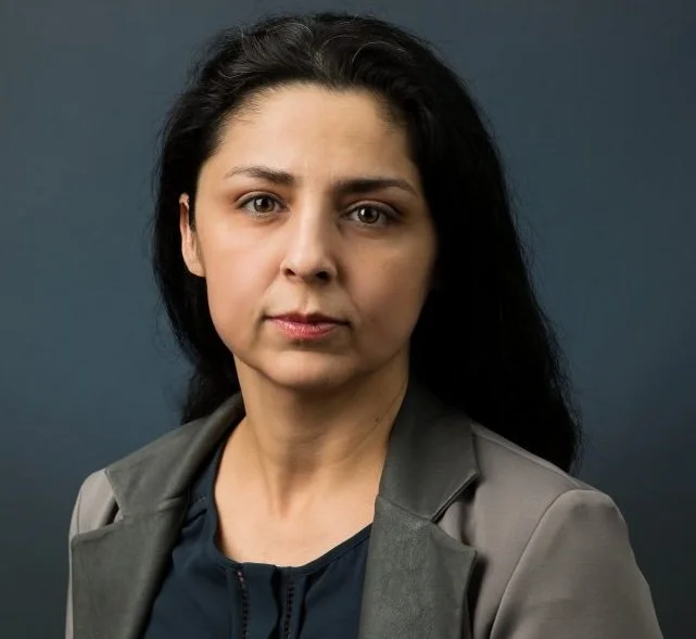 Didem Ozevin, PhD, PE.jpeg