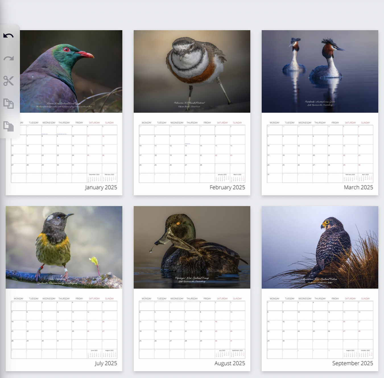 Screen Shot 2024-11-16 at 9.57.51 PM.png