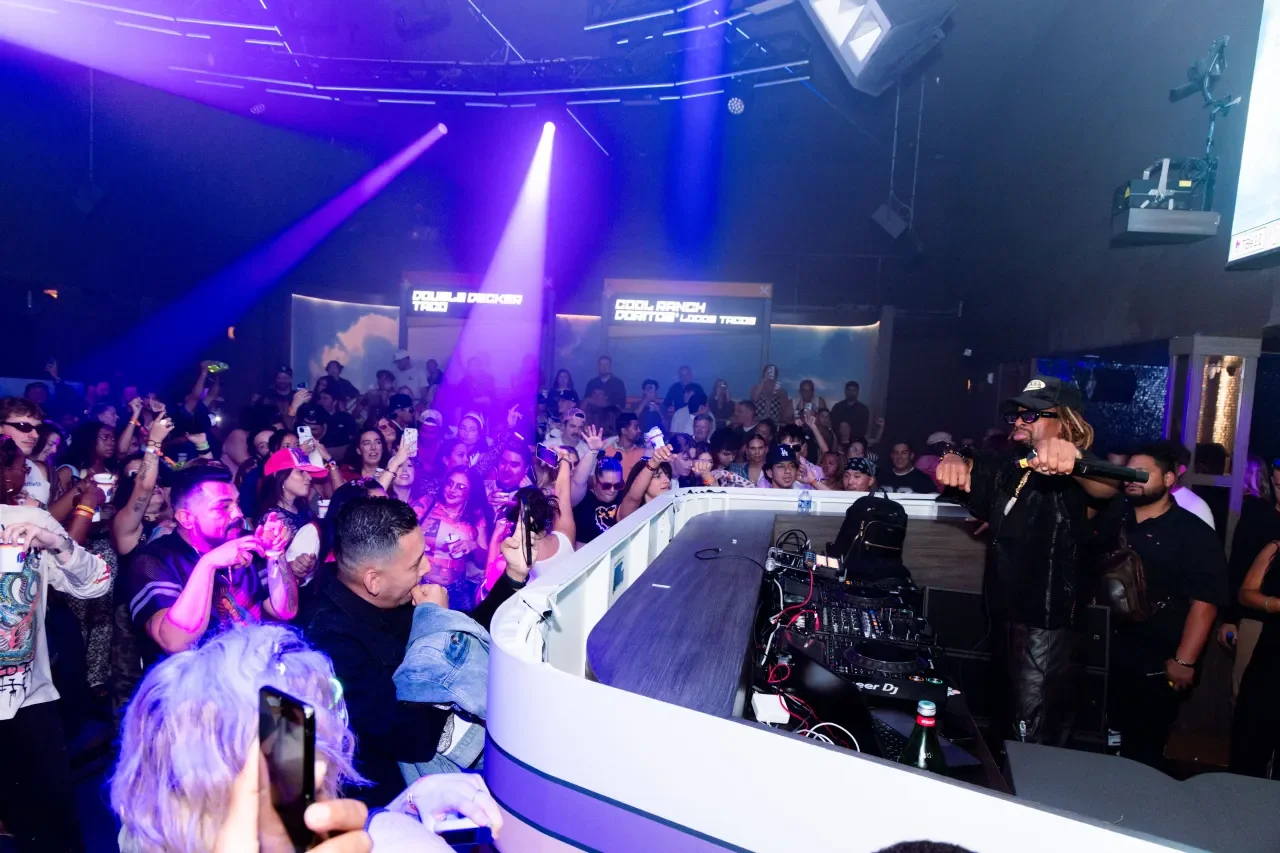 PartyCrowd13.webp
