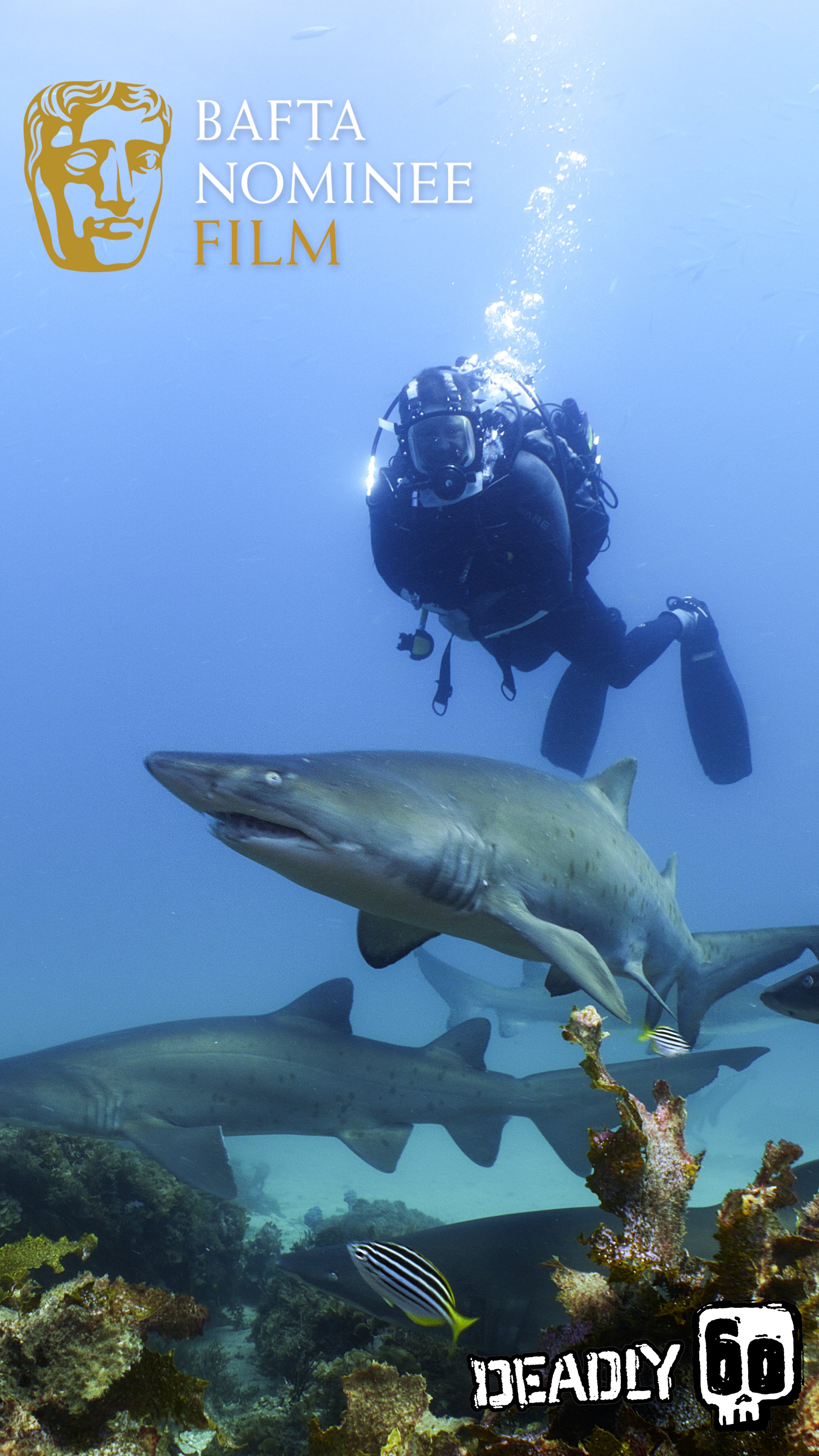 Deadly 60 BAFTA Nomination Saving Sharks shot by Australian Underwater Cinematographer Tom Park