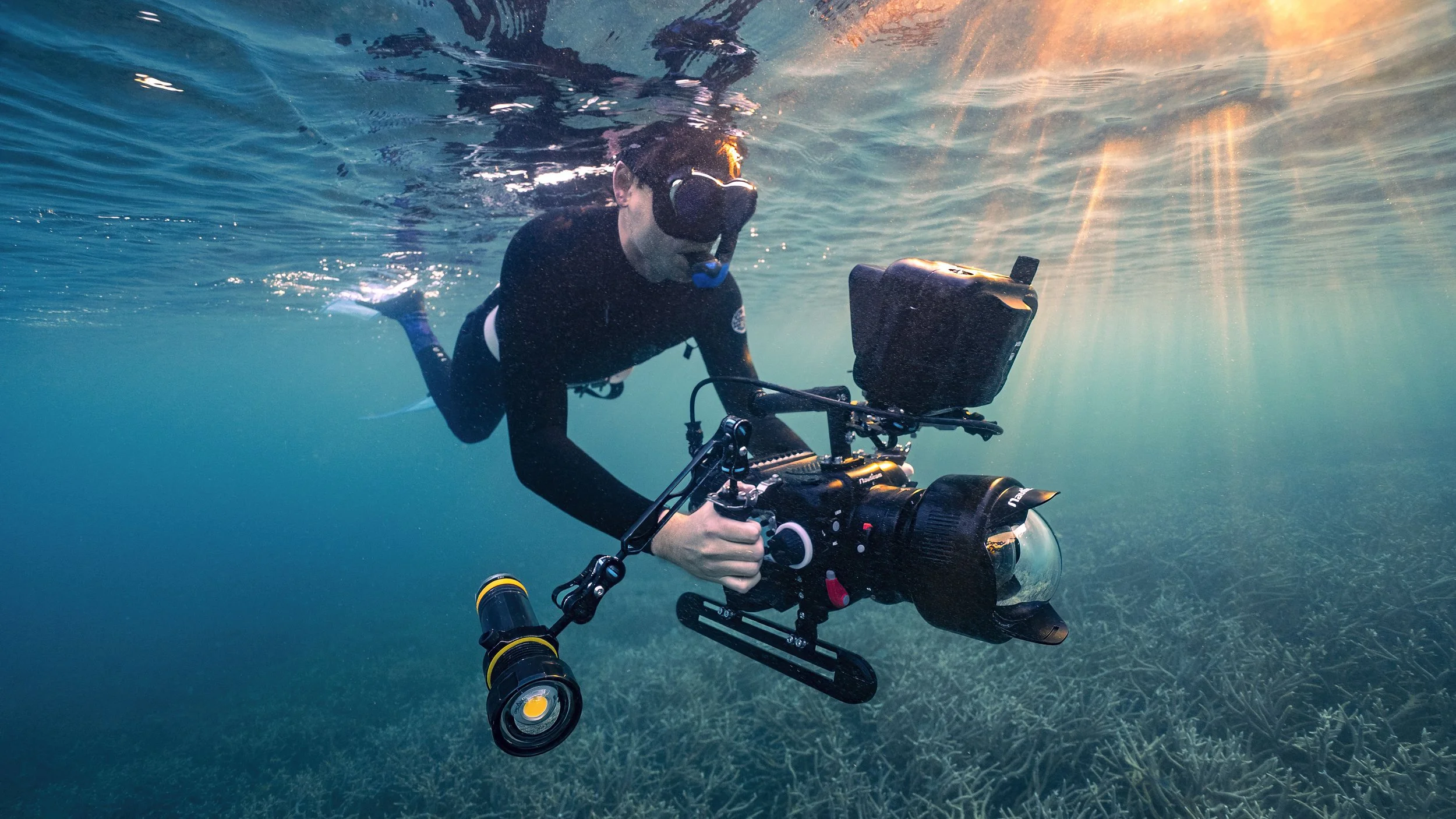 Why I bought a RED Raptor for underwater cinematography