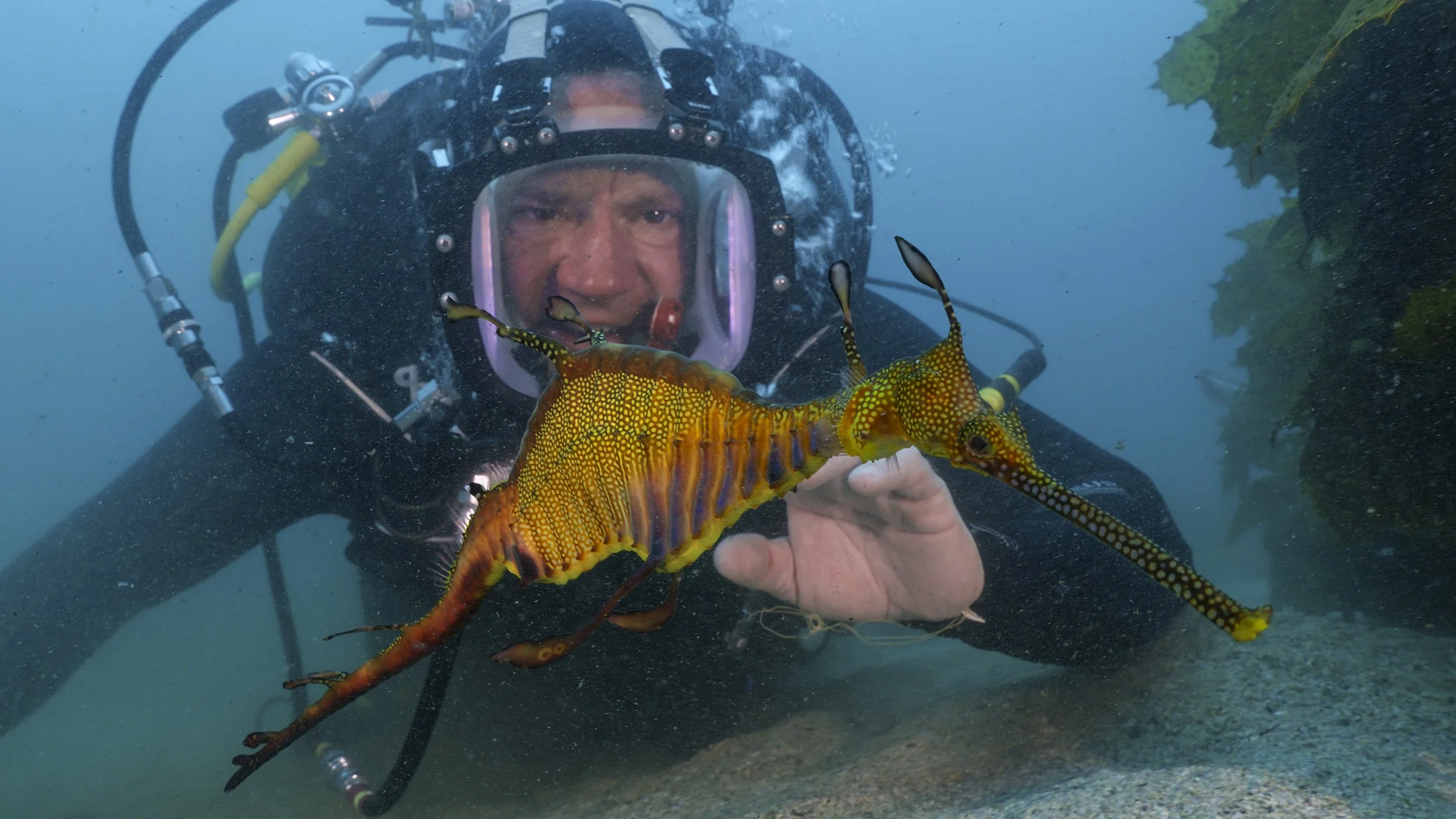 Behind the Scenes Filming Deadly 60 with Steve Backshall
