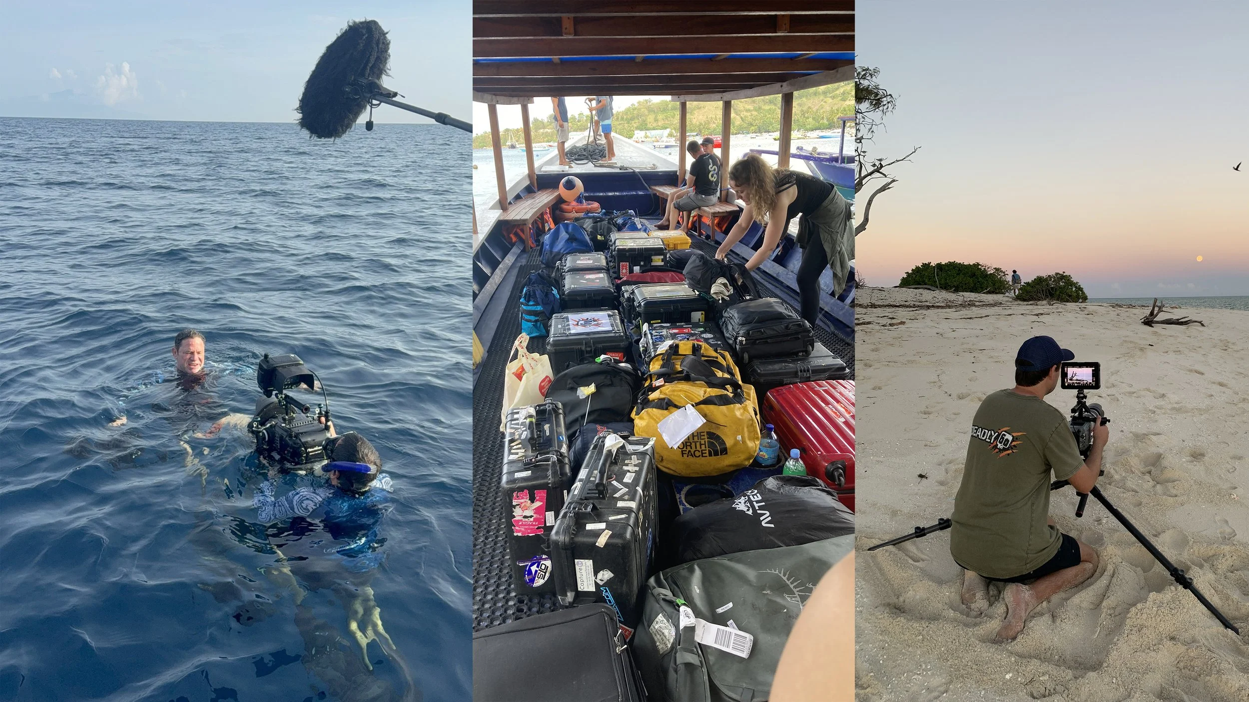 Behind The Scenes Filming Deadly 60 with Australian Underwater Cinematographer Tom Park
