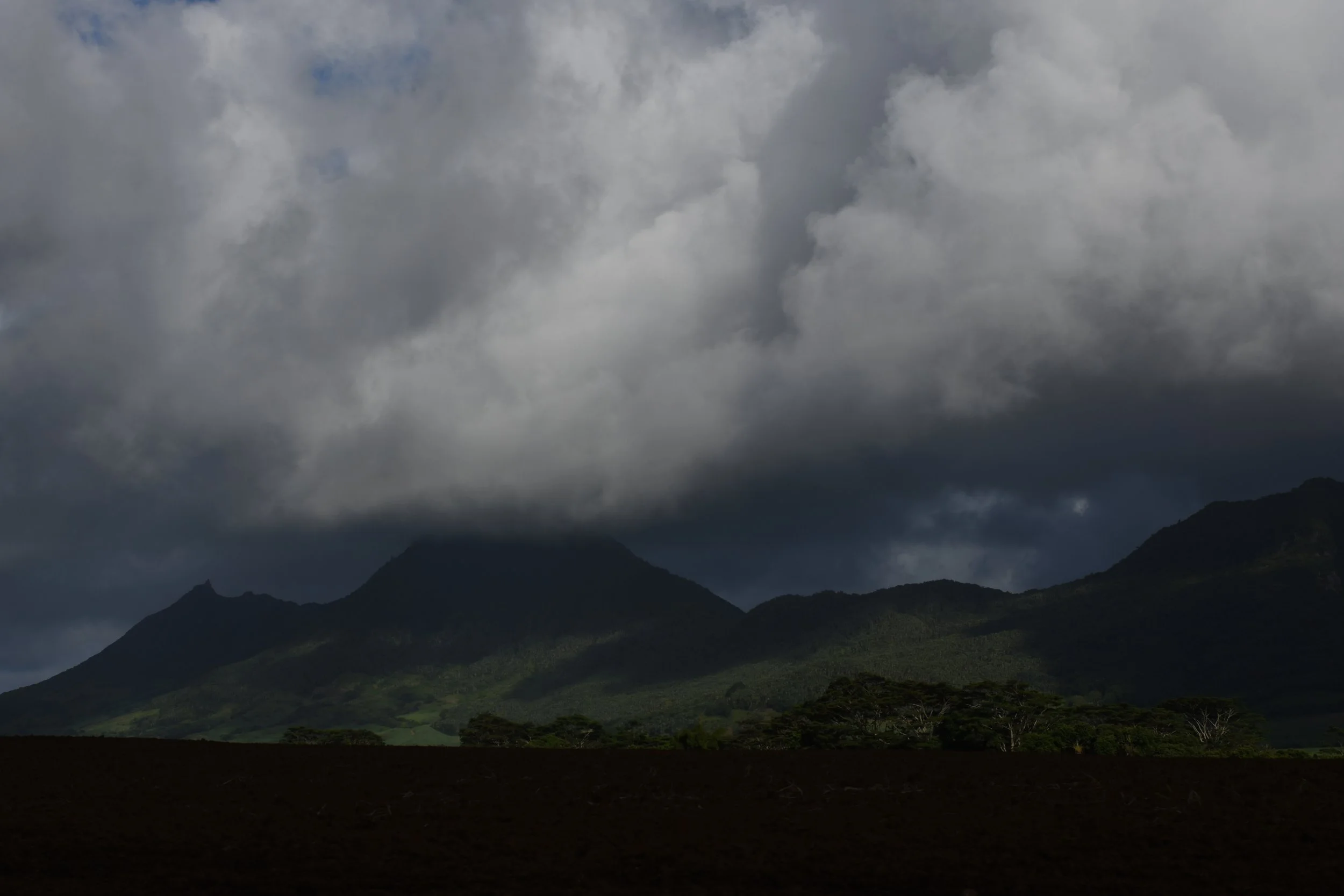DSC_3229.JPG
