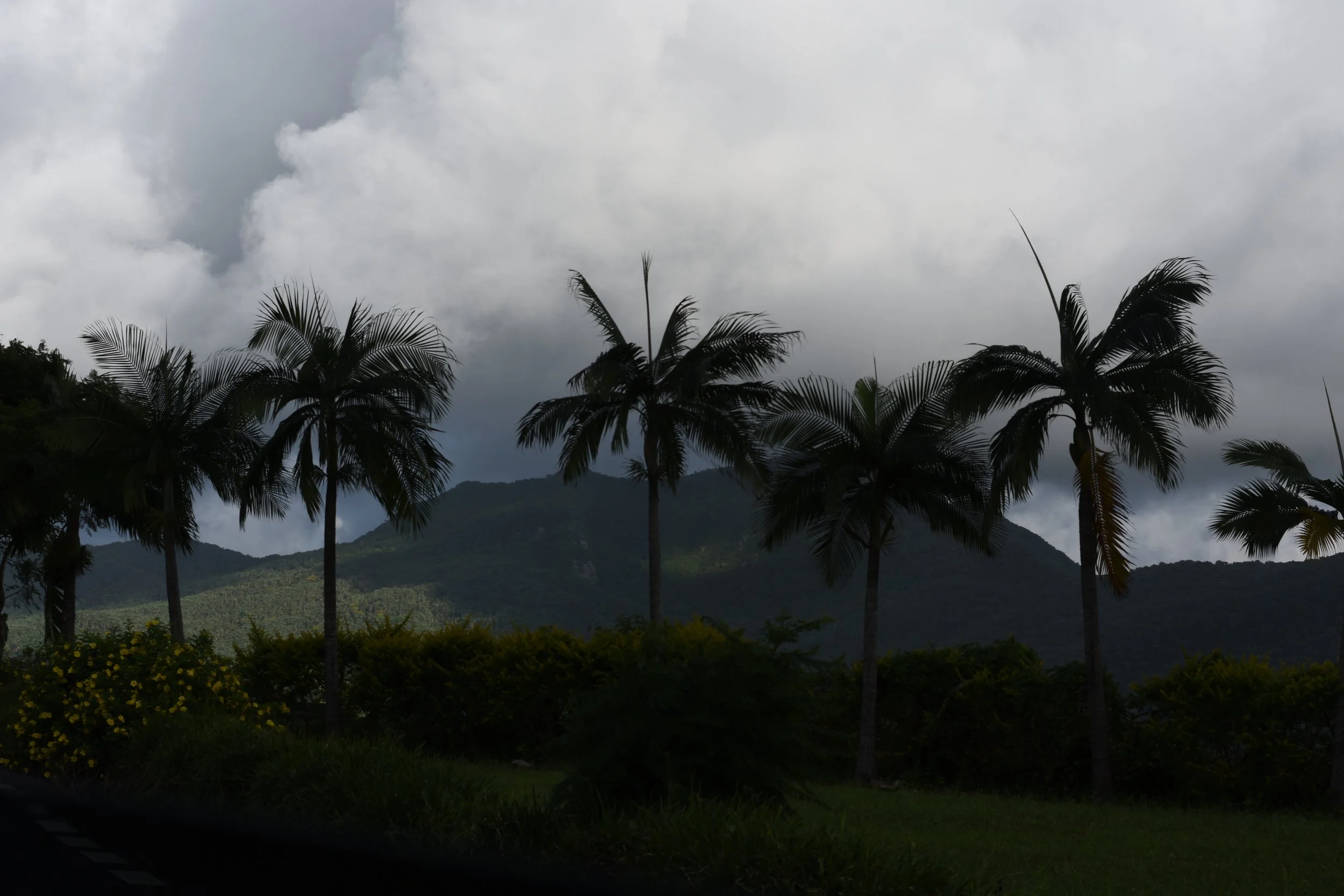 DSC_3233.JPG