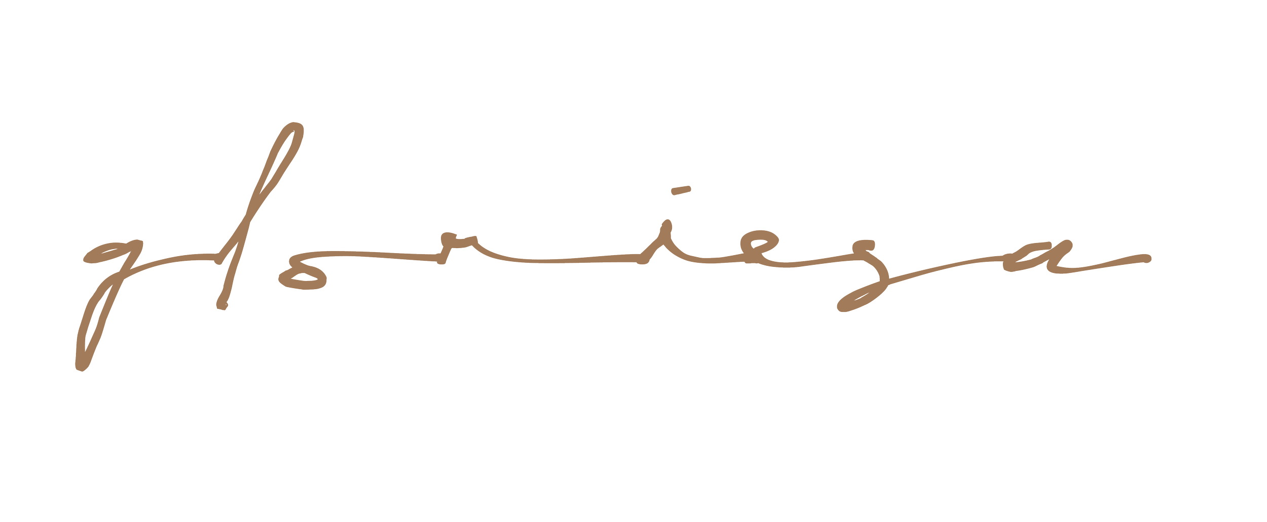 Signature of the name 'jessiesa' written in a cursive, brown script font.
