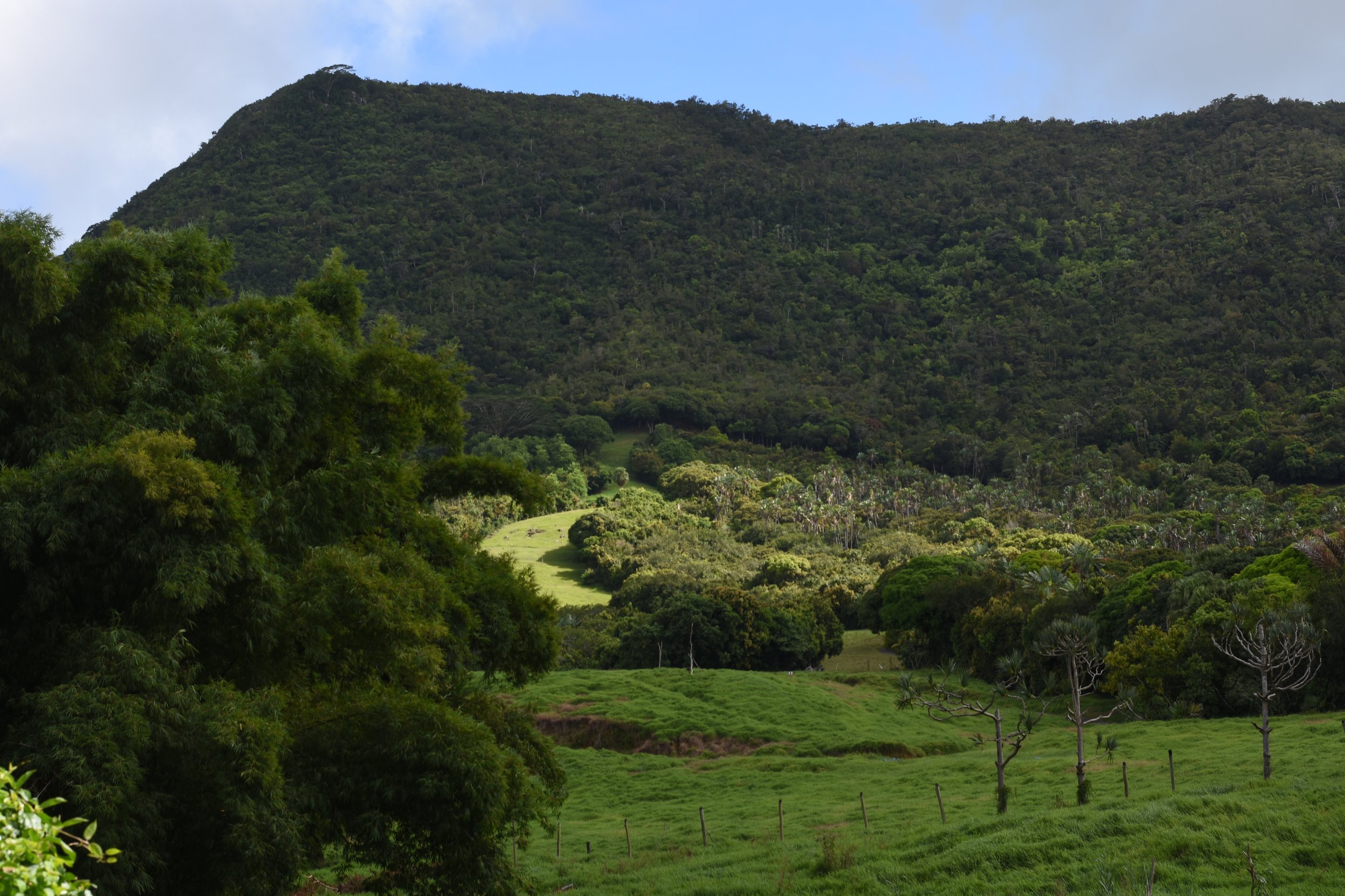 DSC_3215.JPG