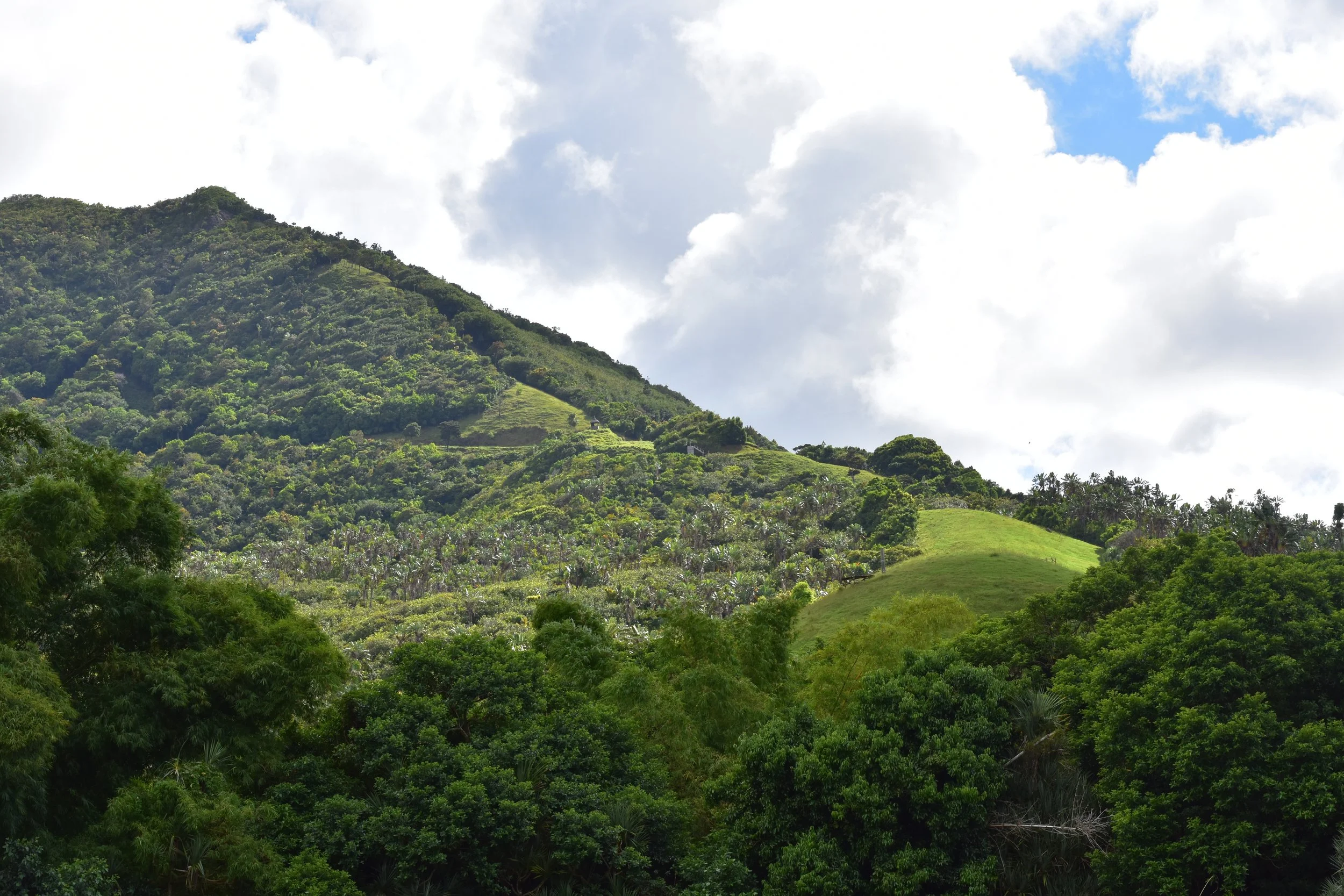 DSC_3206.JPG