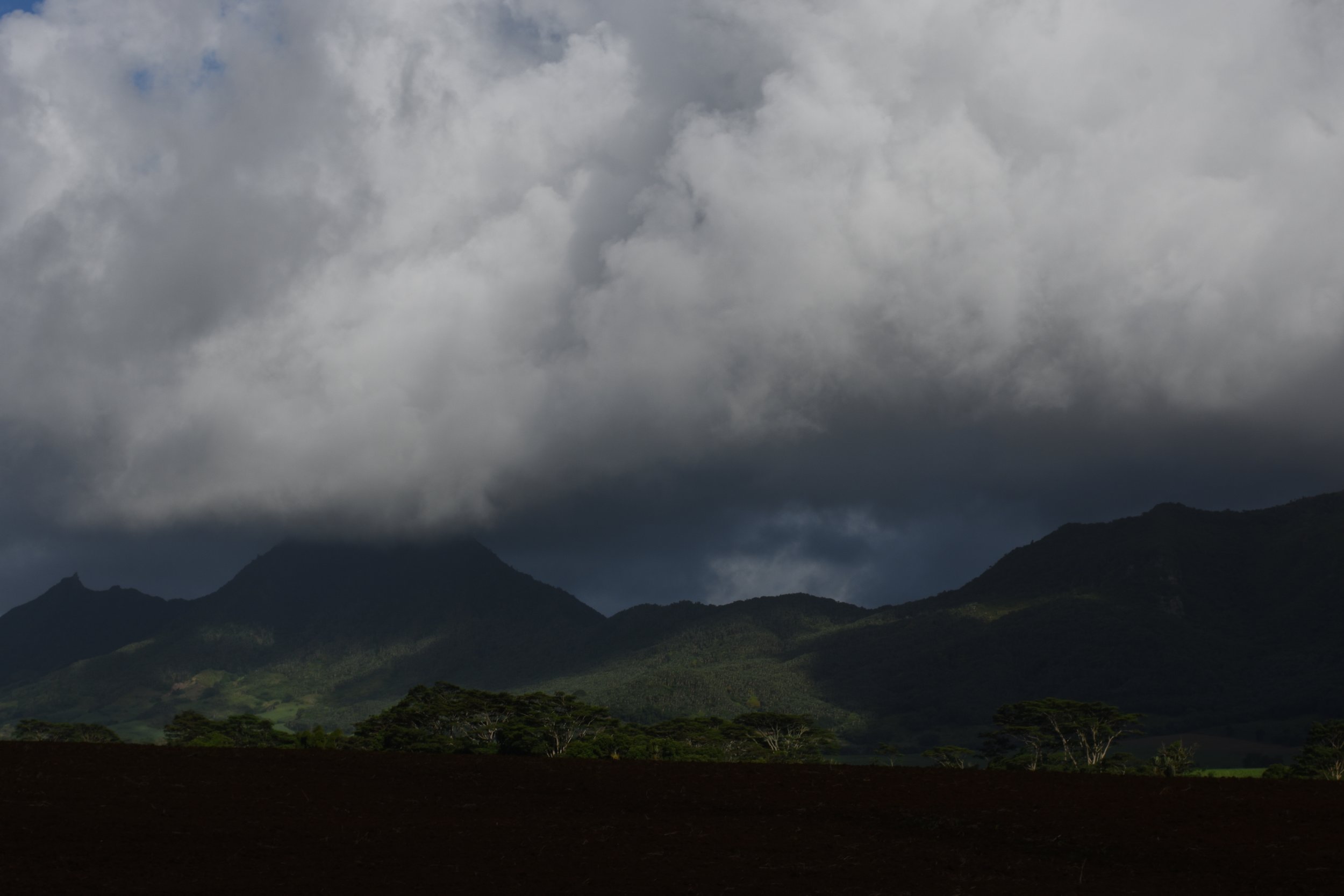 DSC_3227.JPG