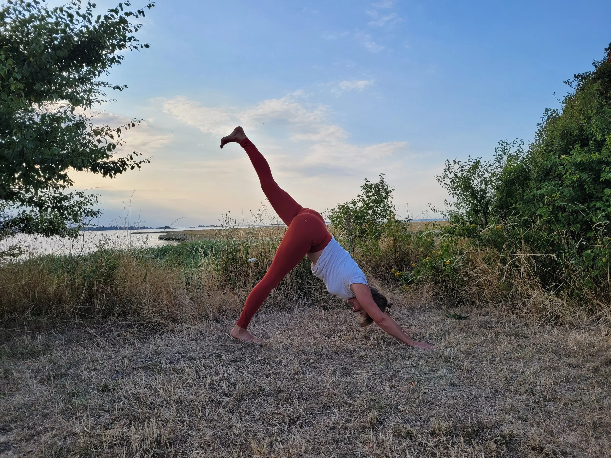 Hatha Flow beginner/intermediate
