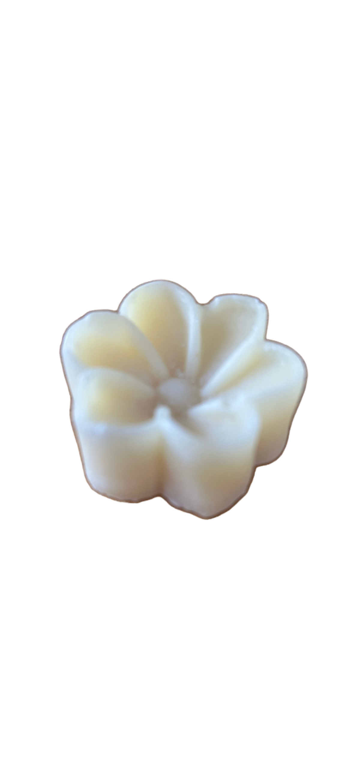 Halal Unscented Flower Tallow Soap