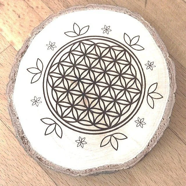 Placenta Encapsulation — Store 1 — Alephia Holistic Life Mastery