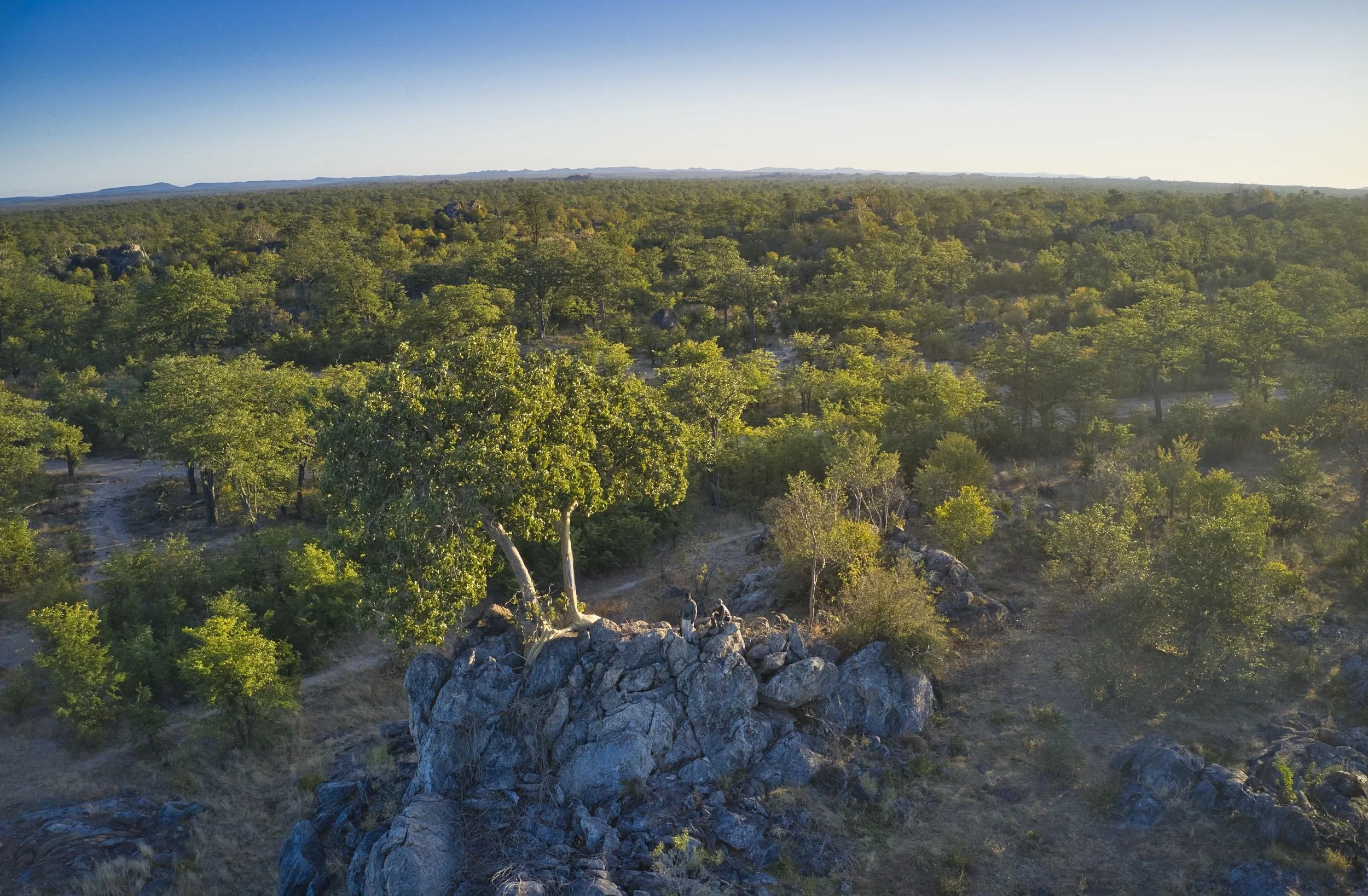 Camp Hwange walking safari_3.jpg