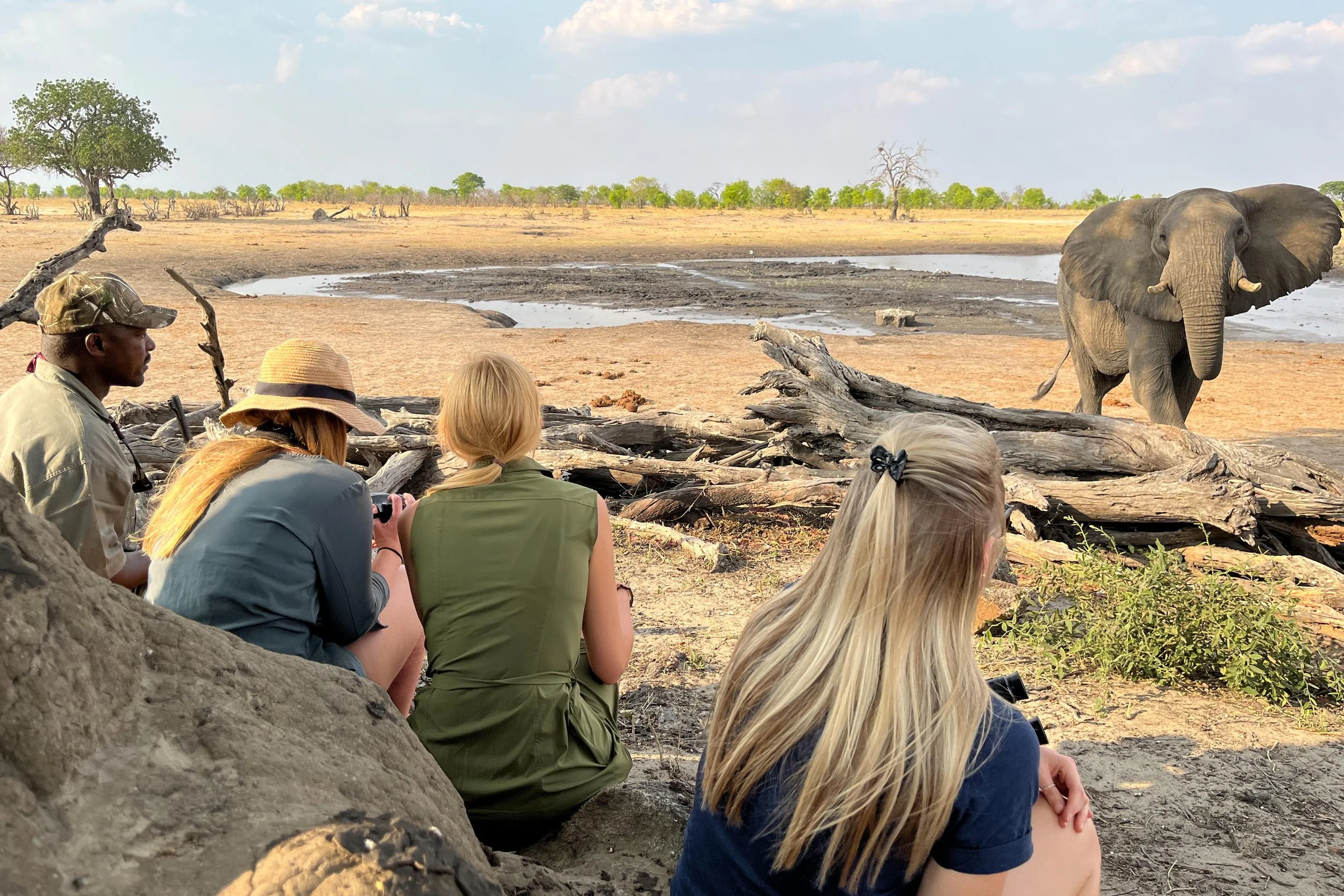 Camp Hwange logpile hide.jpg
