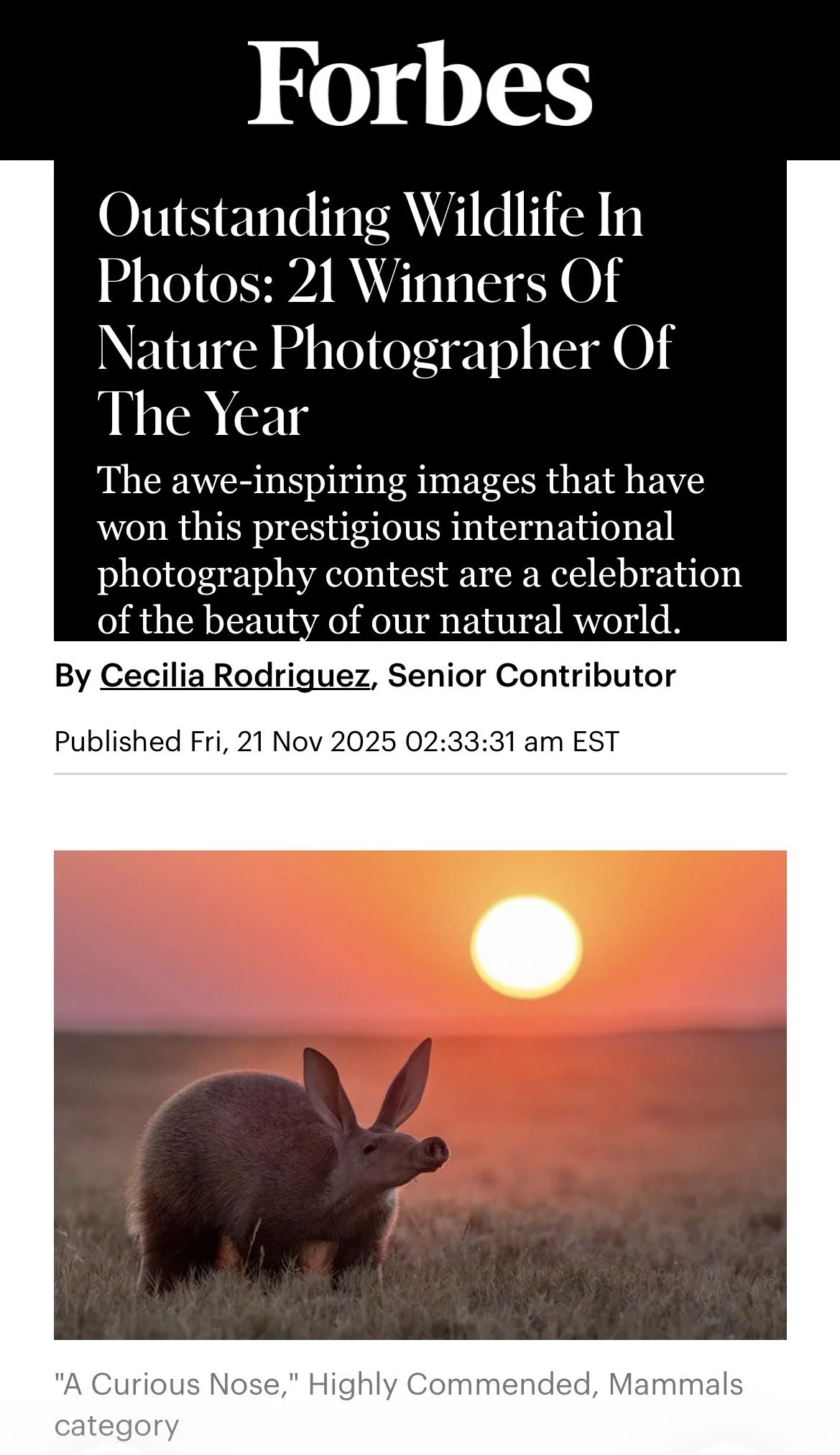 Forbes article showing Highly Commended award in Nature Photographer of the year 2025