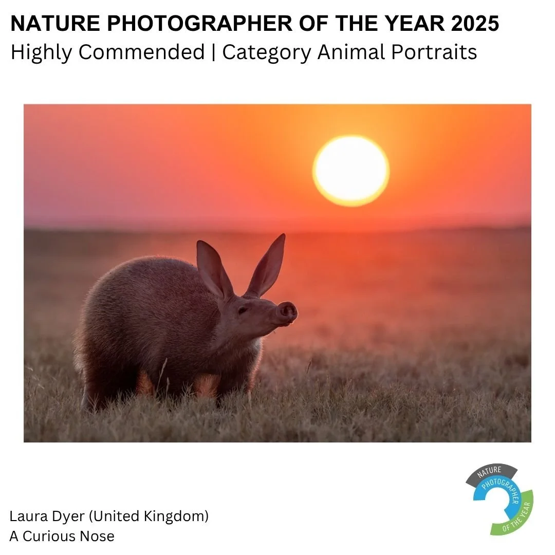 Nature Photographer of the Year 2025 Highly Commended