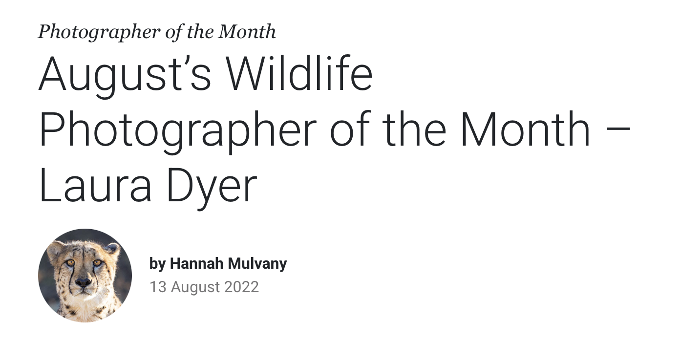Cheetah Conservation Fund August 2022 photographer of the month - Laura Dyer