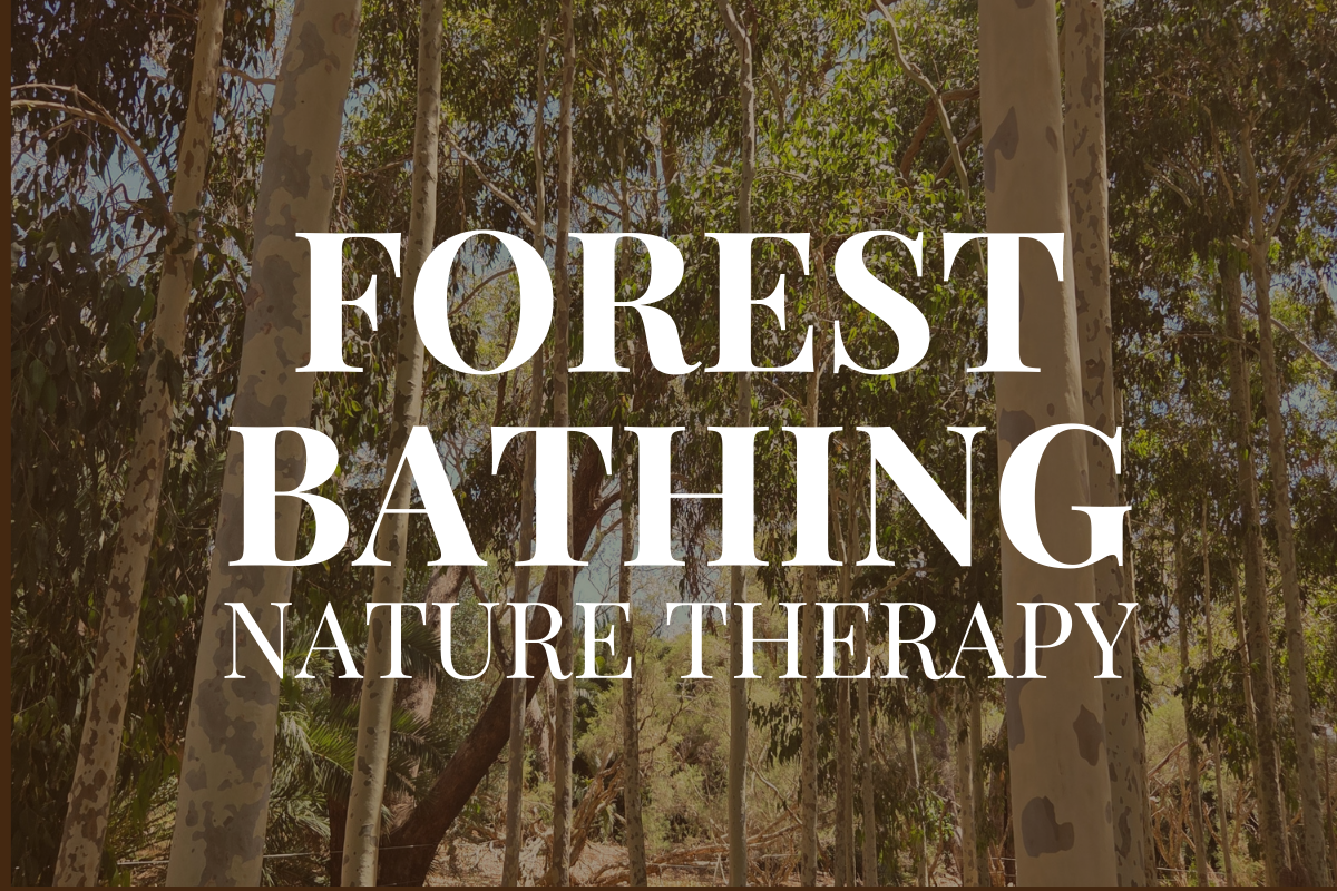 Forest Bathing Nature Therapy