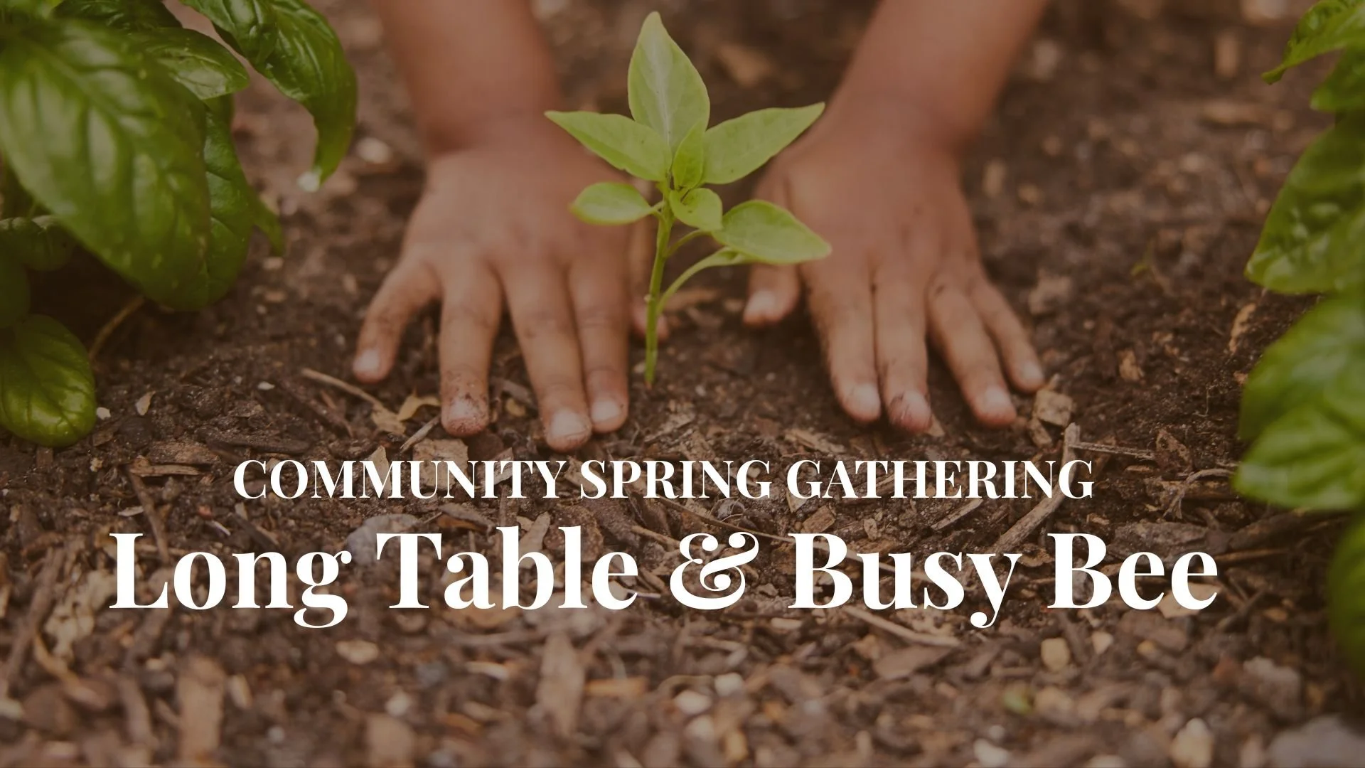 Busy Bee + Long Table