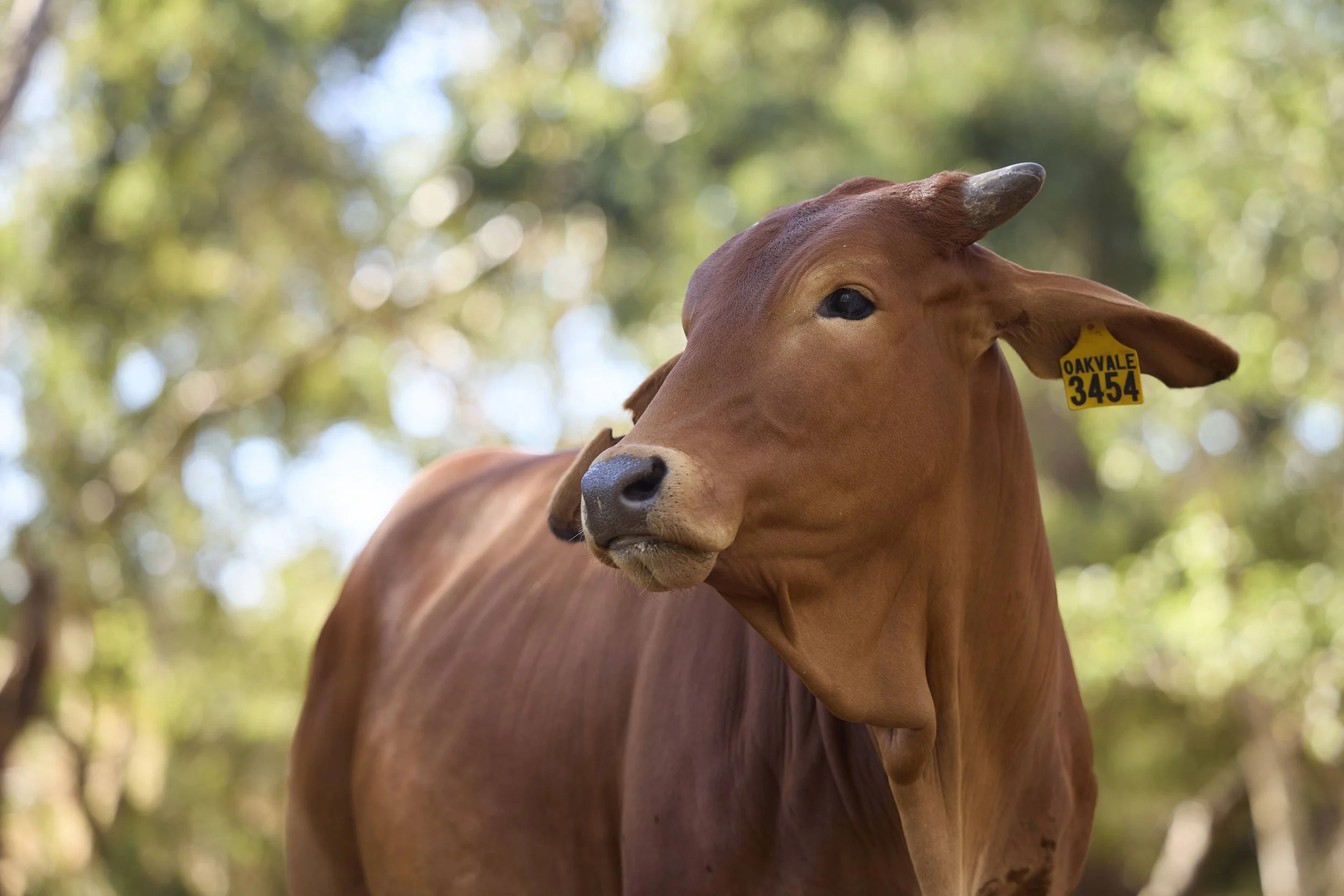 Art Sanctuary-240316-BhuMeJha-005 (1).jpg