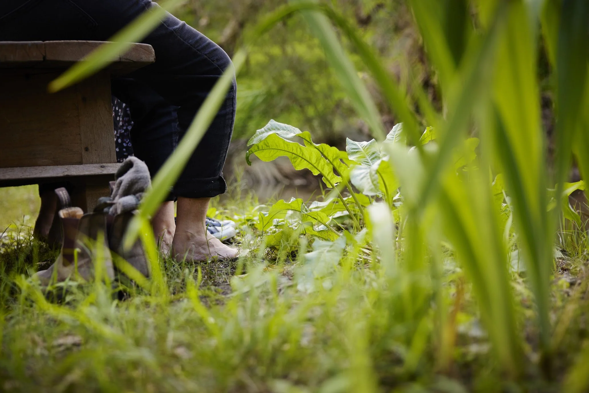 A person sitting outdoors on a wooden bench, with feet on the ground, near green plants and grass, in a natural setting.