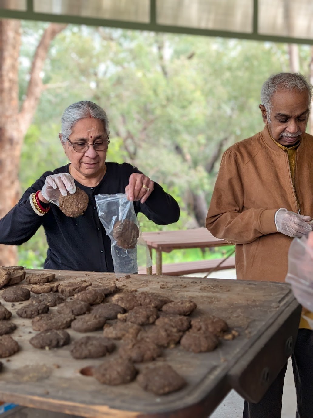 volunteers hand crafting sacred cow dung cakes in natural setting