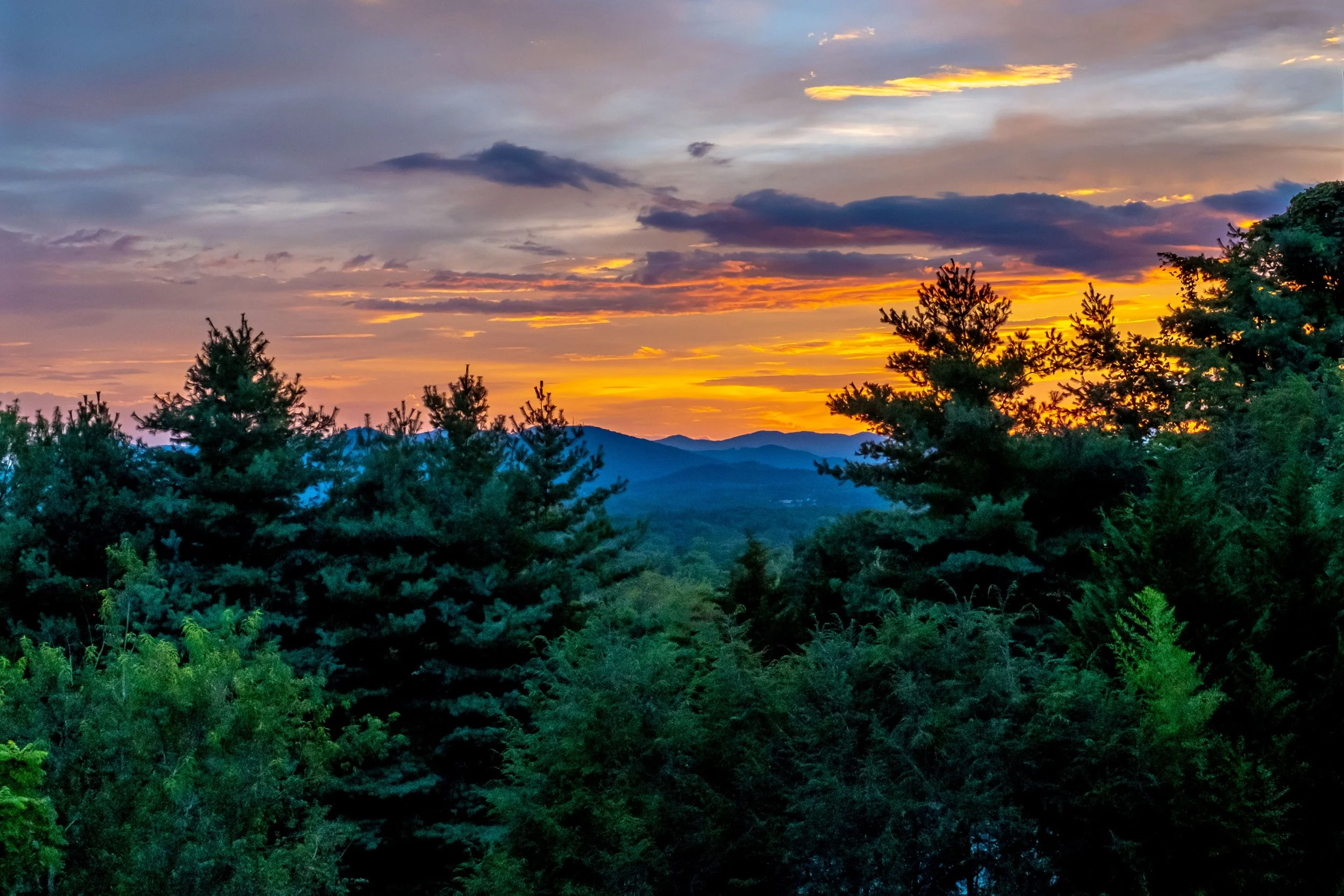 DSCF5830.jpg
