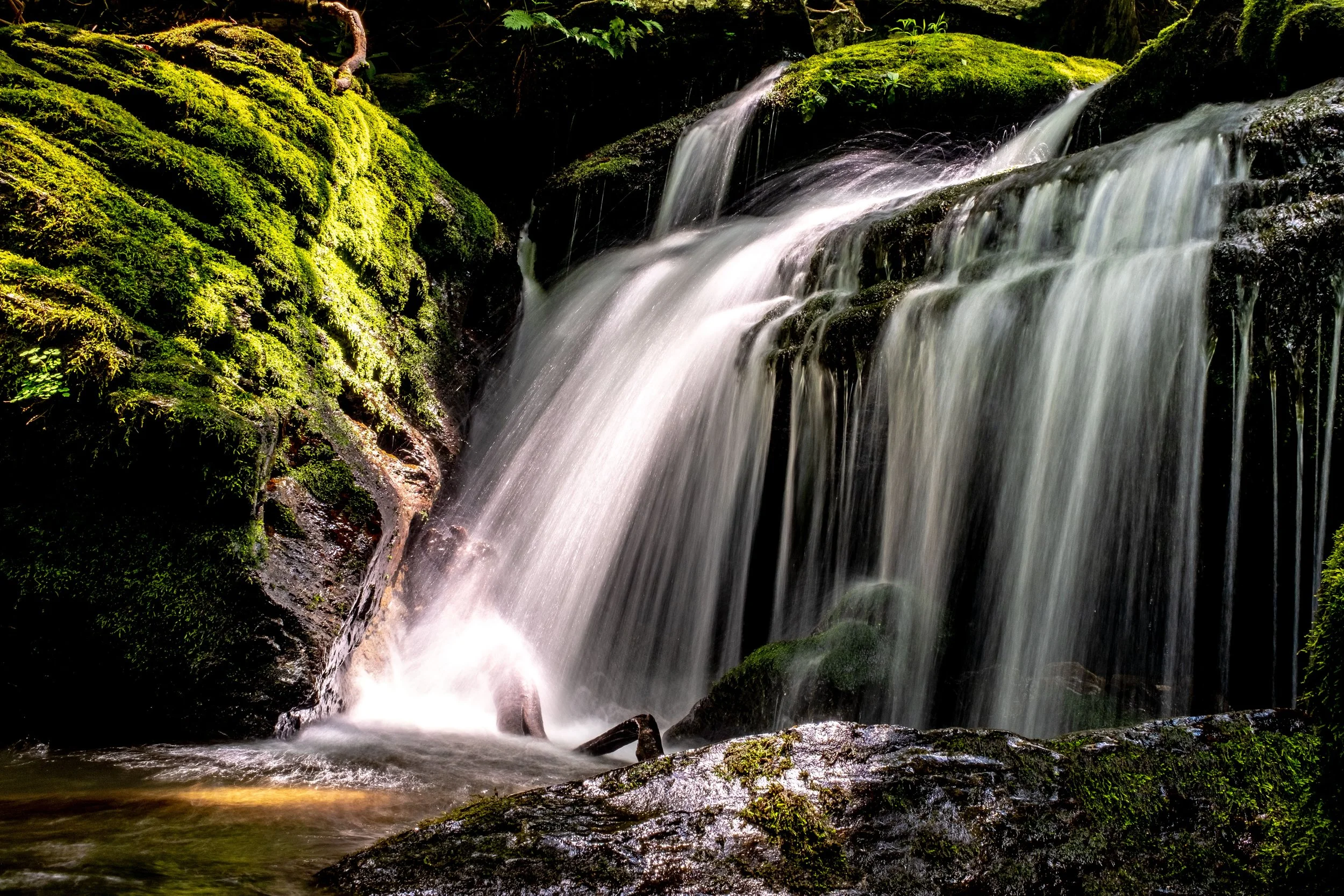 DSCF5964.jpg