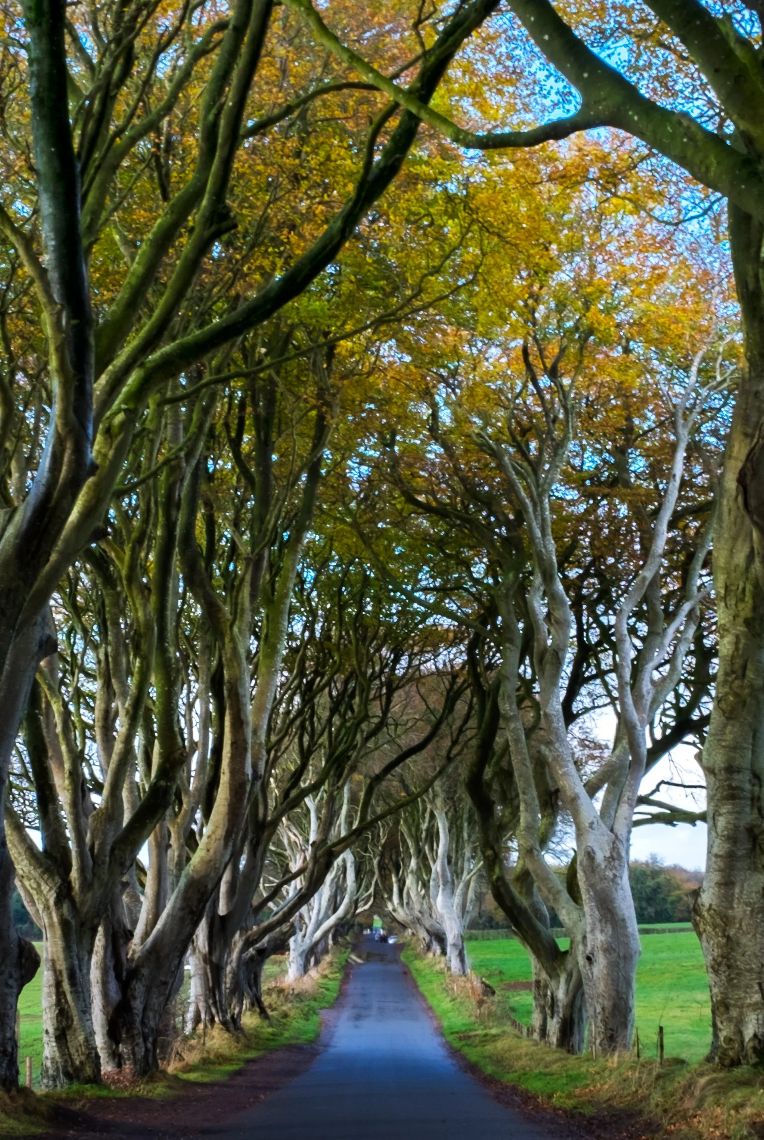 DSCF5320.jpg