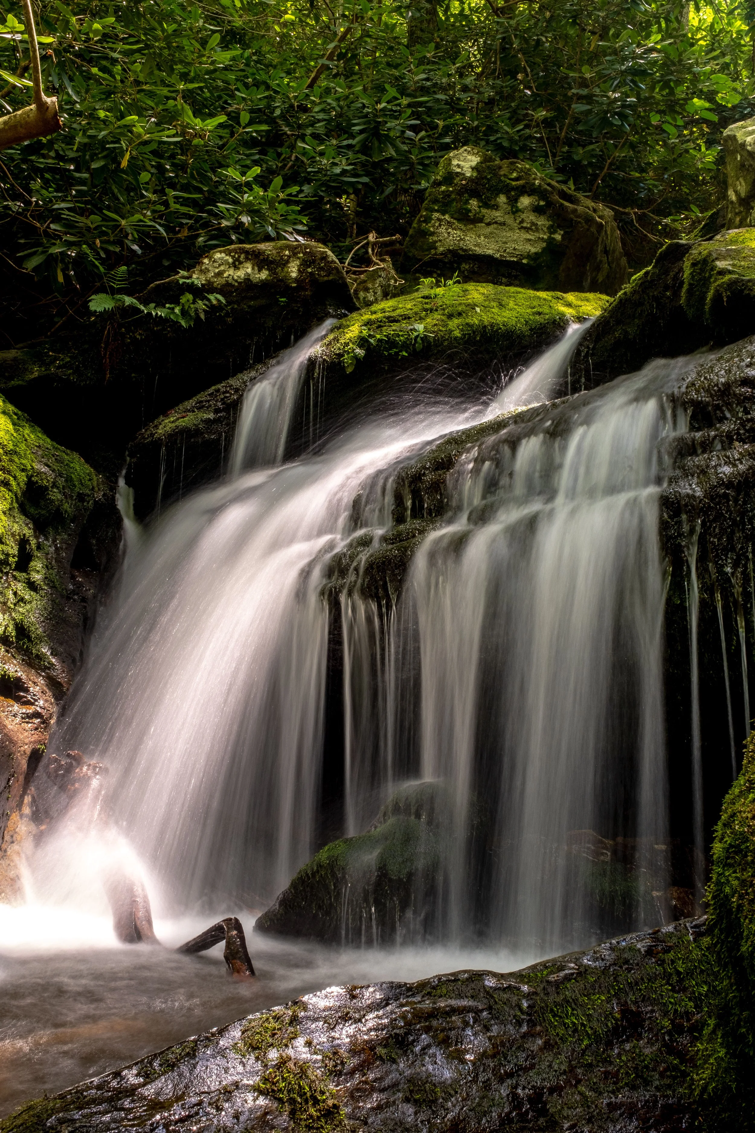 DSCF5962.jpg