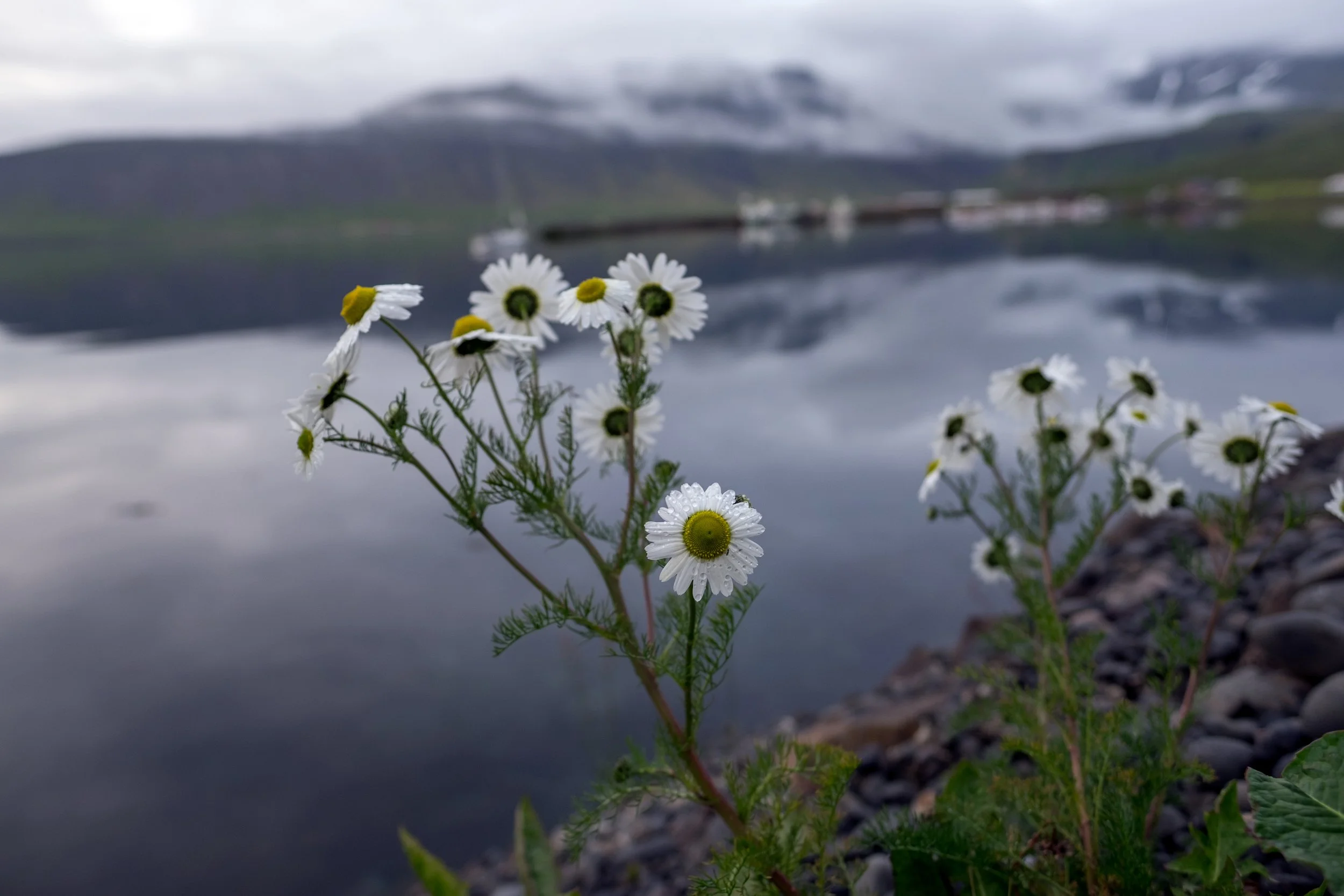 DSCF3592.jpg