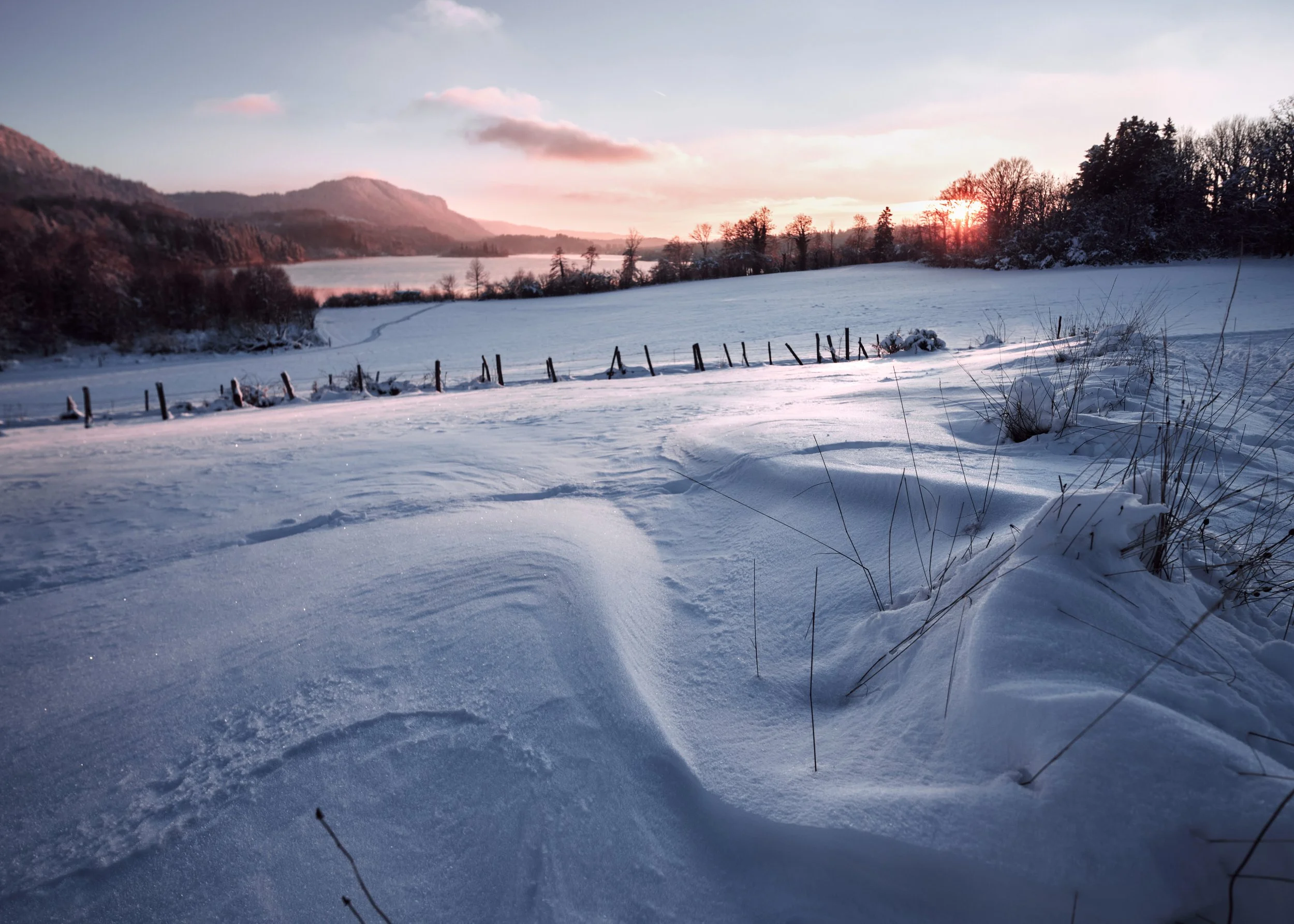 paysage neige web.jpg