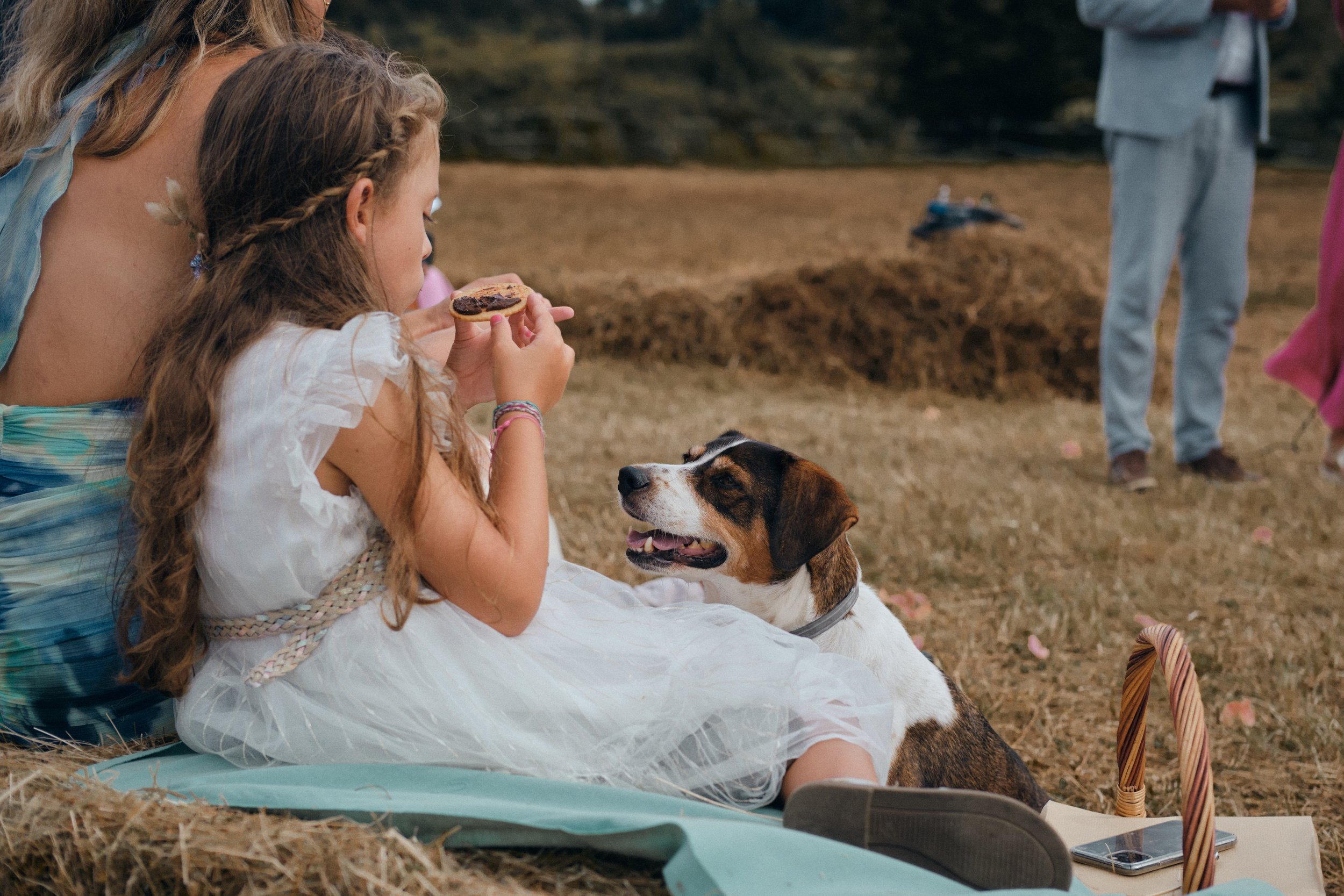 Lors d'un mariage un enfants assis sur la paille, mange un biscuit et le chien assis à côté, dans une cérémonie de mariage dans le Jura