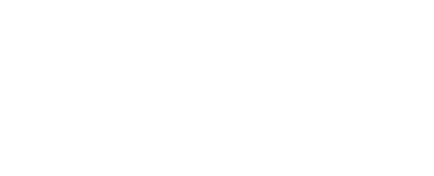 THE BRIDGE HOTEL