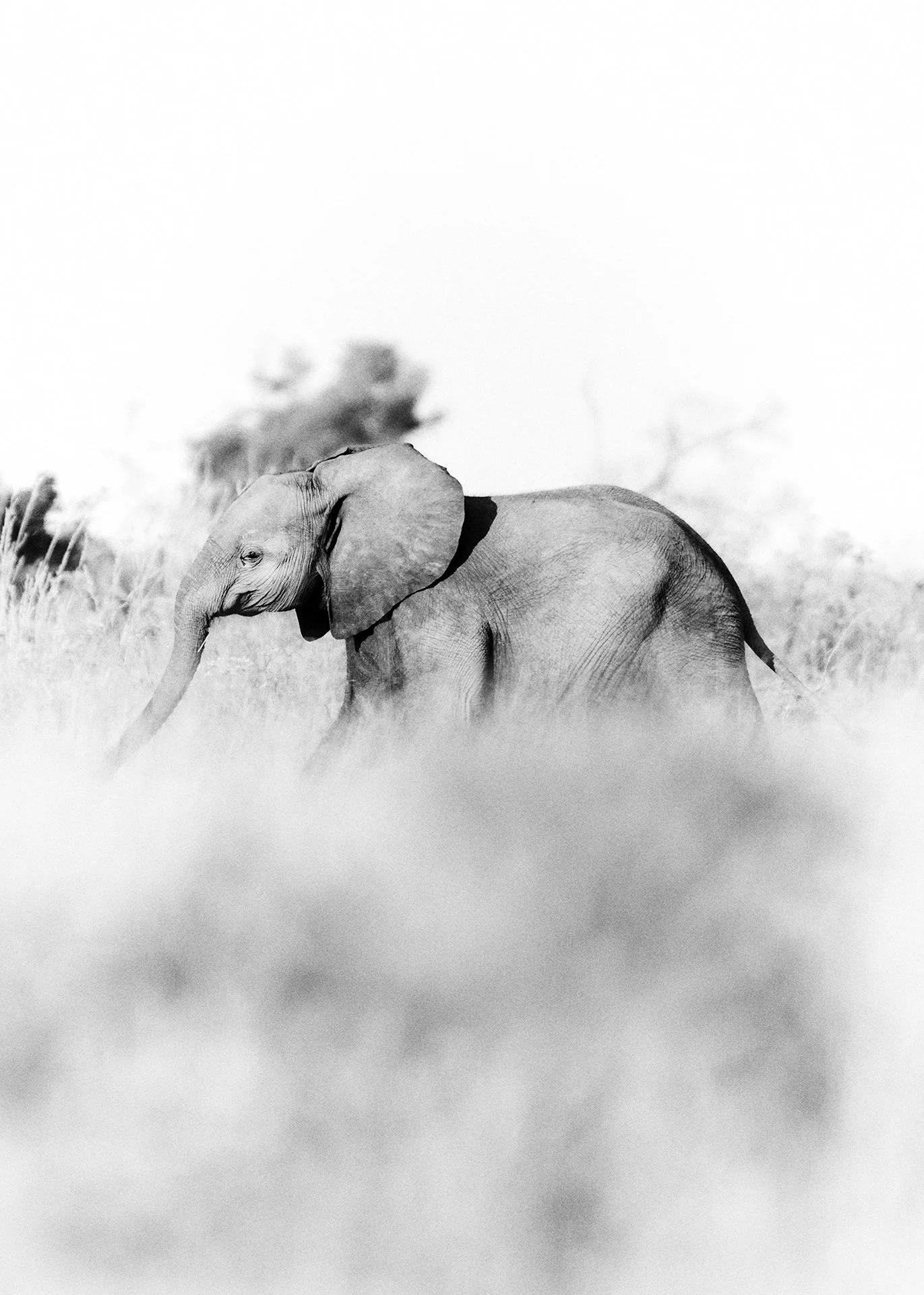 dmAFRICA X Smartfly MegaFam2025_Duma Tau_GibsonPhoto 52.jpg