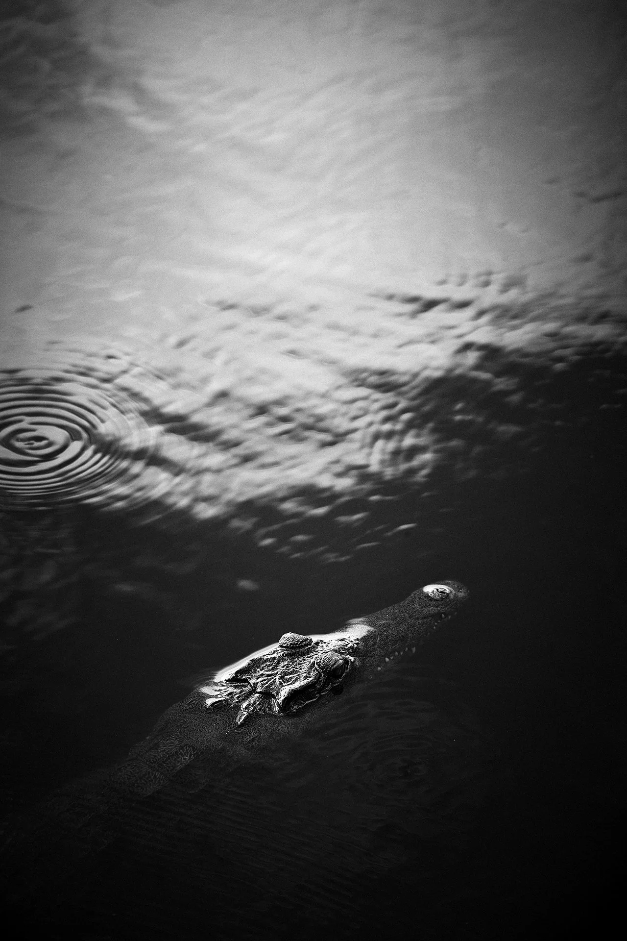 DM Africa_Finch Hatton's 5.jpg