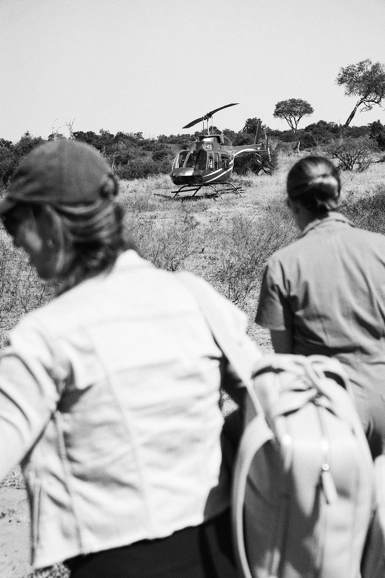 dmAFRICA X Smartfly MegaFam2025_Little Mombo & Mombo_GibsonPhoto 90.jpg