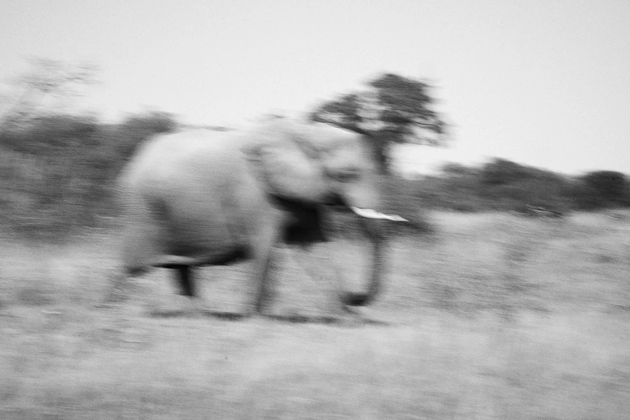 dmAFRICA X Smartfly MegaFam2025_Duma Tau_GibsonPhoto 72.jpg