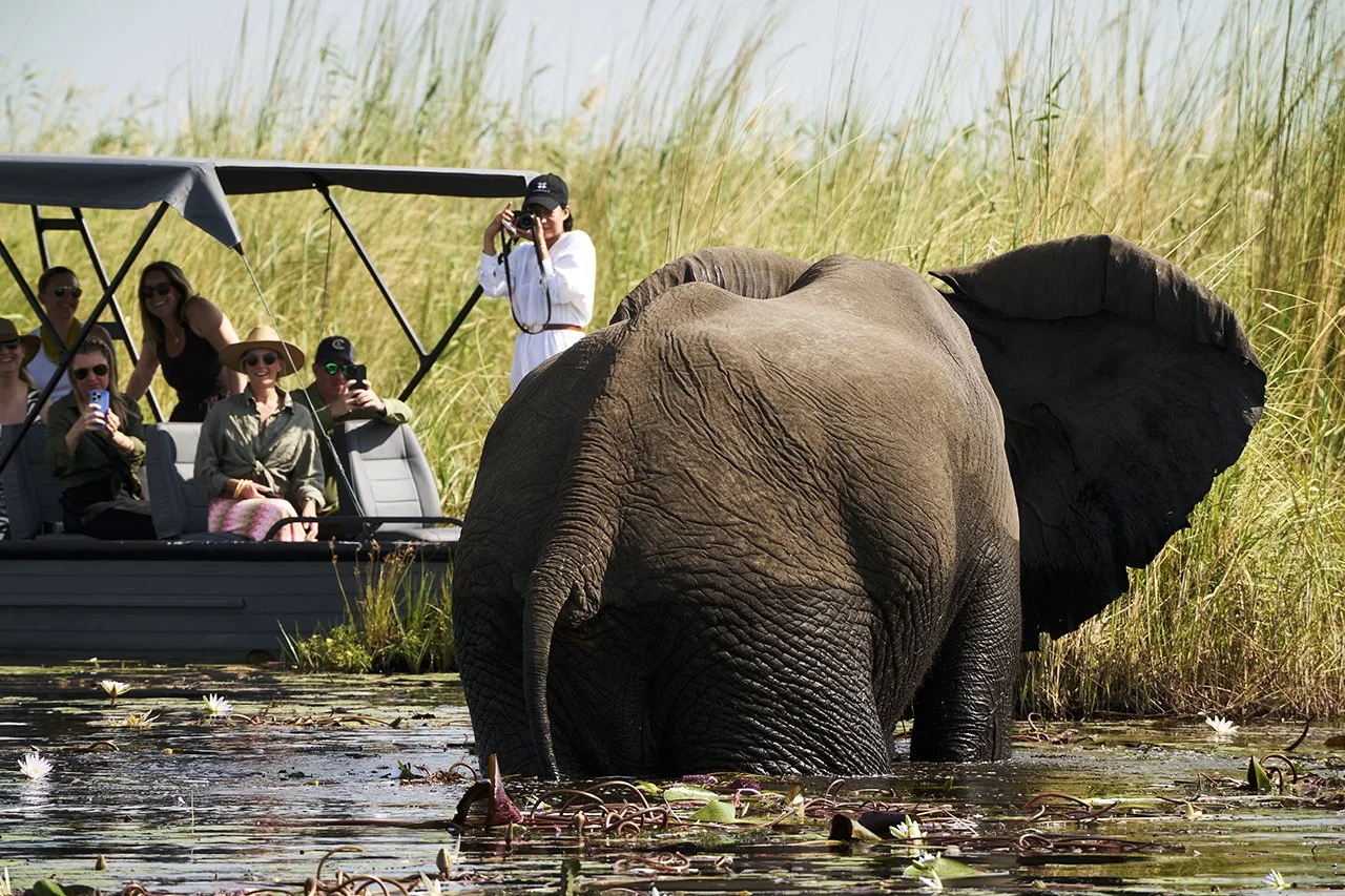 dmAFRICA X Smartfly MegaFam2025_Duma Tau_GibsonPhoto 110.jpg