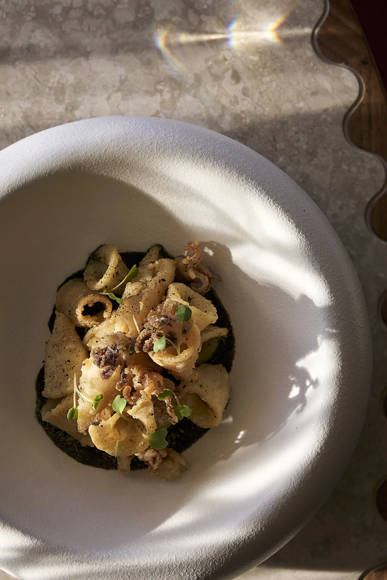 Omri_Dec2025_GibsonPhoto 19.jpg