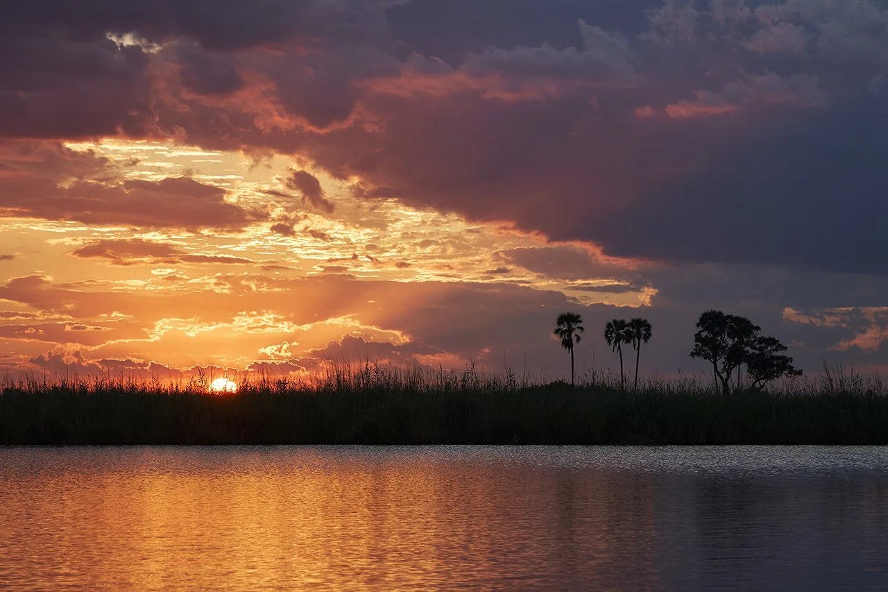 dmAFRICA X Smartfly MegaFam2025_Duma Tau_GibsonPhoto 14.jpg