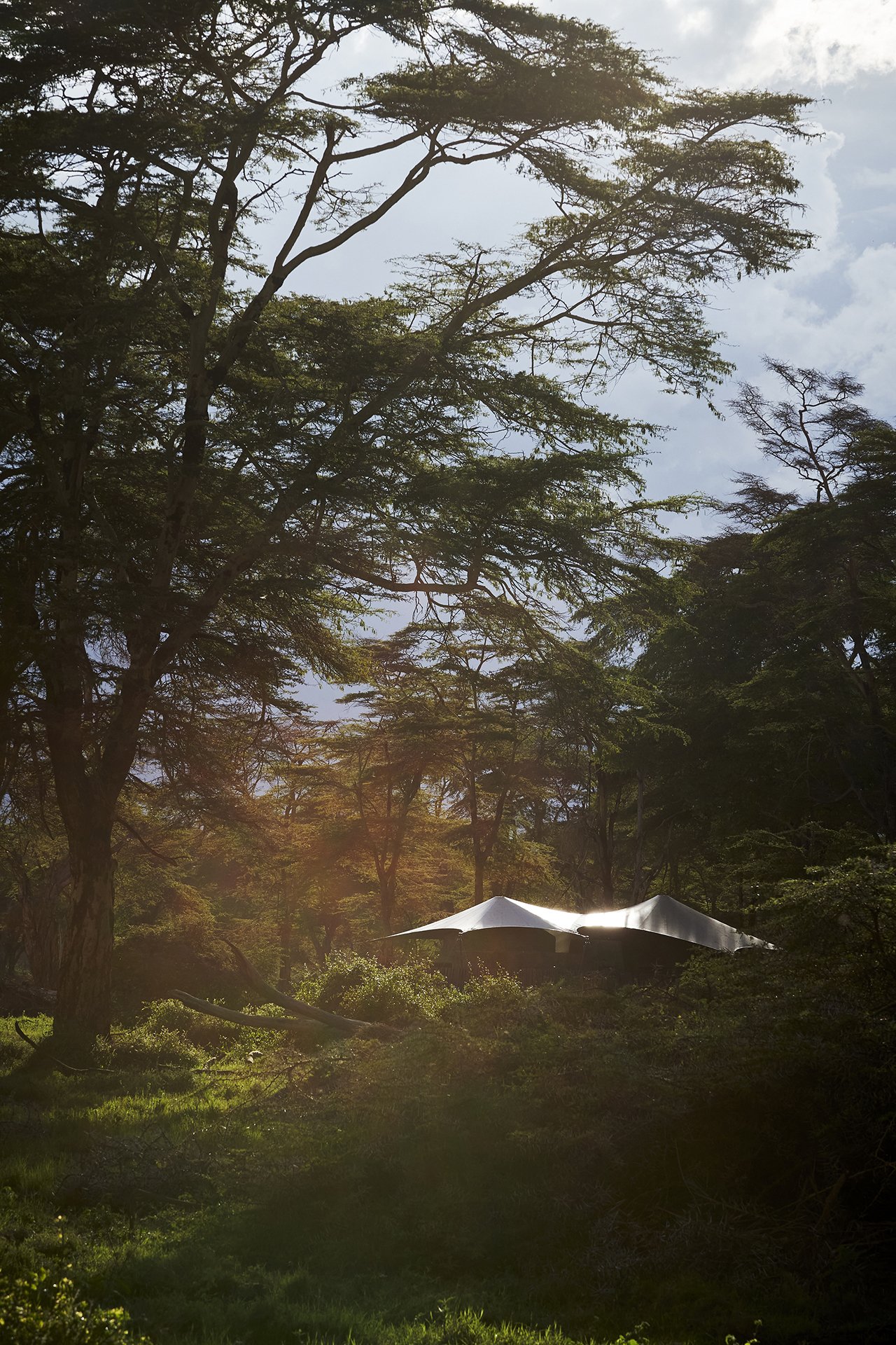 DM Africa_Angama Amboseli 83.jpg