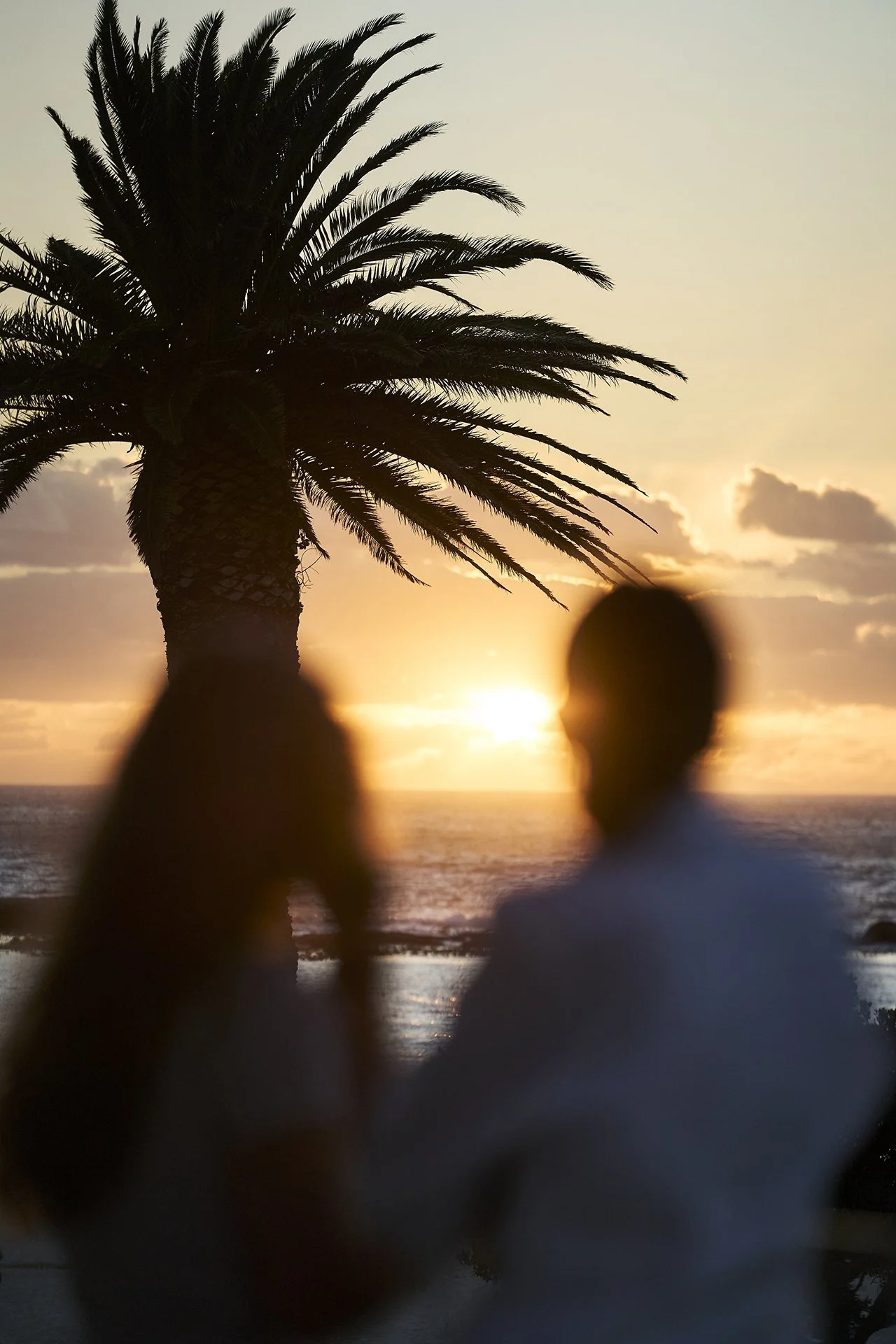 Omri_Dec2025_GibsonPhoto 9.jpg