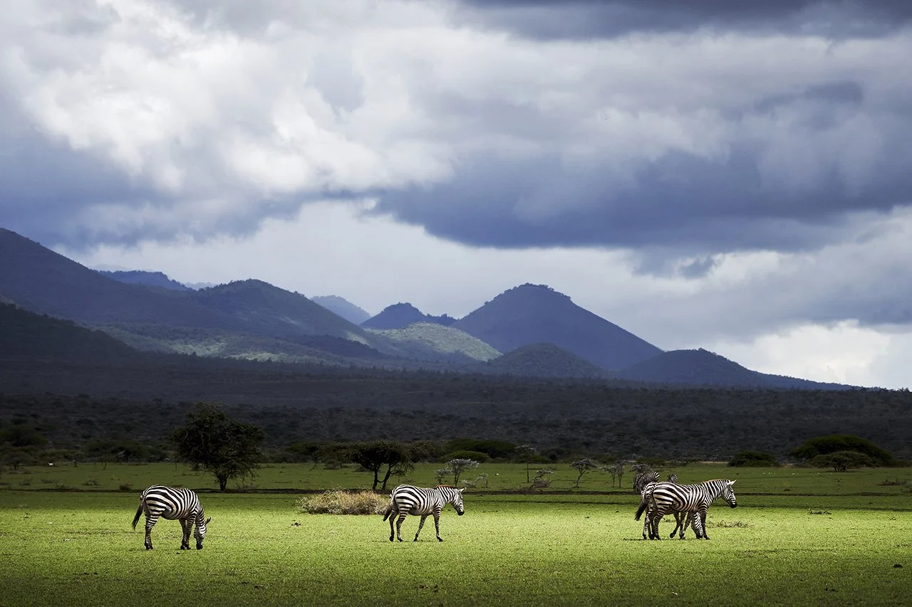 DM Africa_Ol Donyo 57.jpg